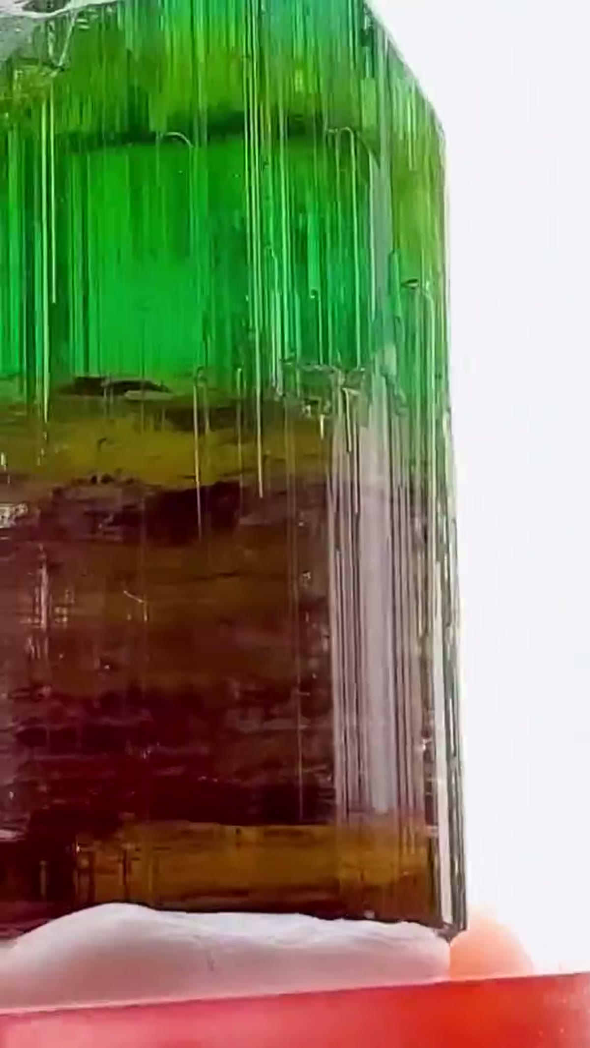 Elbaite Tourmaline Specimen from Minas Gerais, Brazil, 18.87 g - view 4