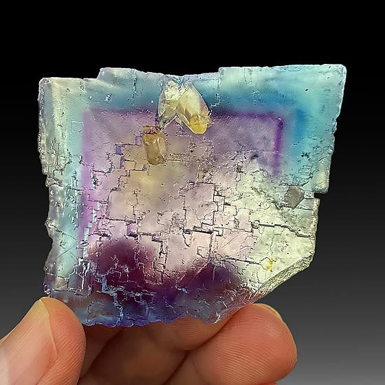 MINERVA NO. 1 COLOR ZONING