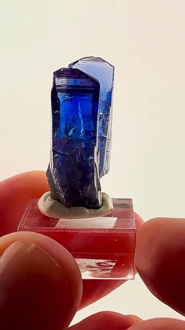 BUNNY EARS  TWO CRYSTALS. ONE INCREDIBLE STORY