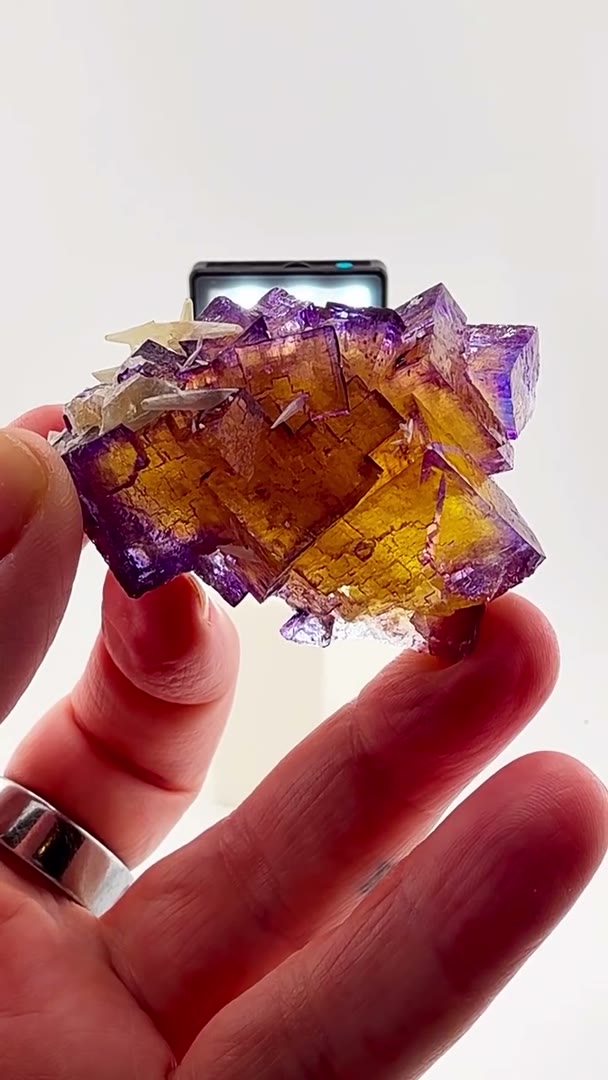 Classic Illinois… elevated by calcite
