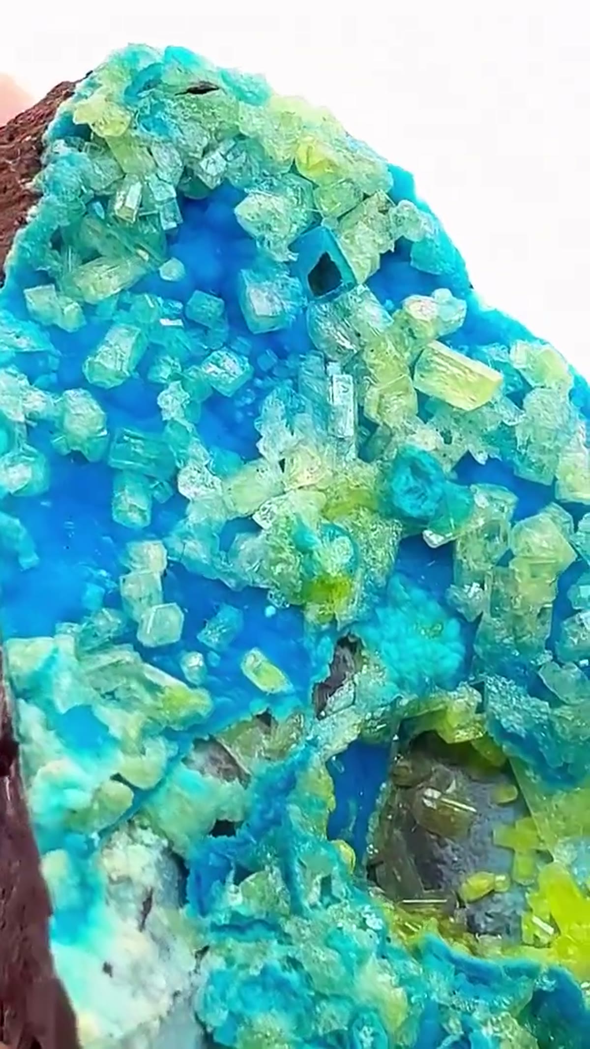 Mineral Specimen: One of the most coveted color combinations in the mineral - view 2
