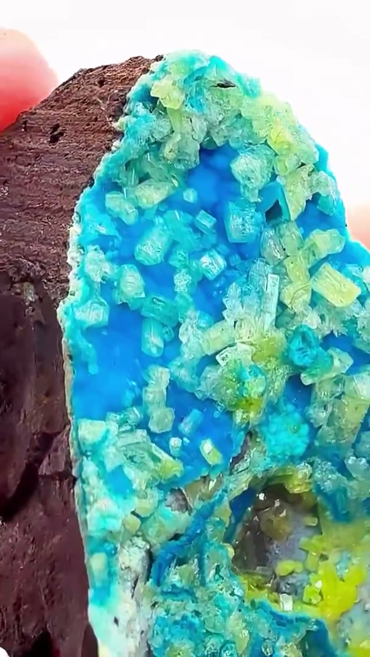 Mineral Specimen: One of the most coveted color combinations in the mineral - view 4