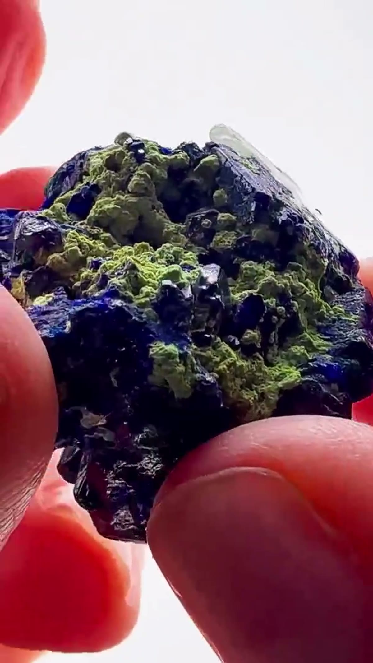 Azurite Specimen from Namibia: Tsumeb Classic • Azurite with Arsentsumebite - view 2
