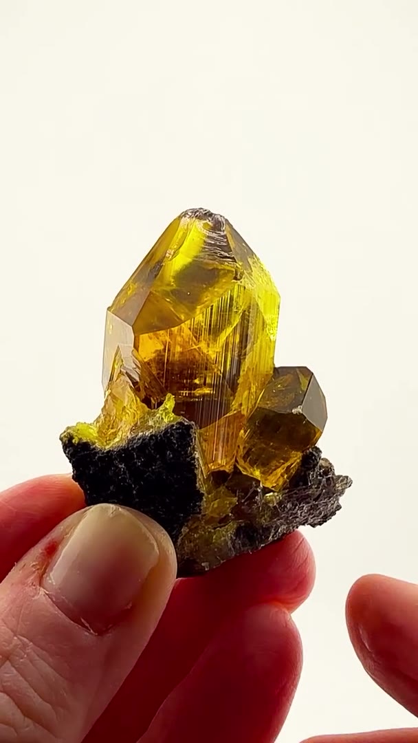 GOLDEN PERFECTION FROM MOROCCO