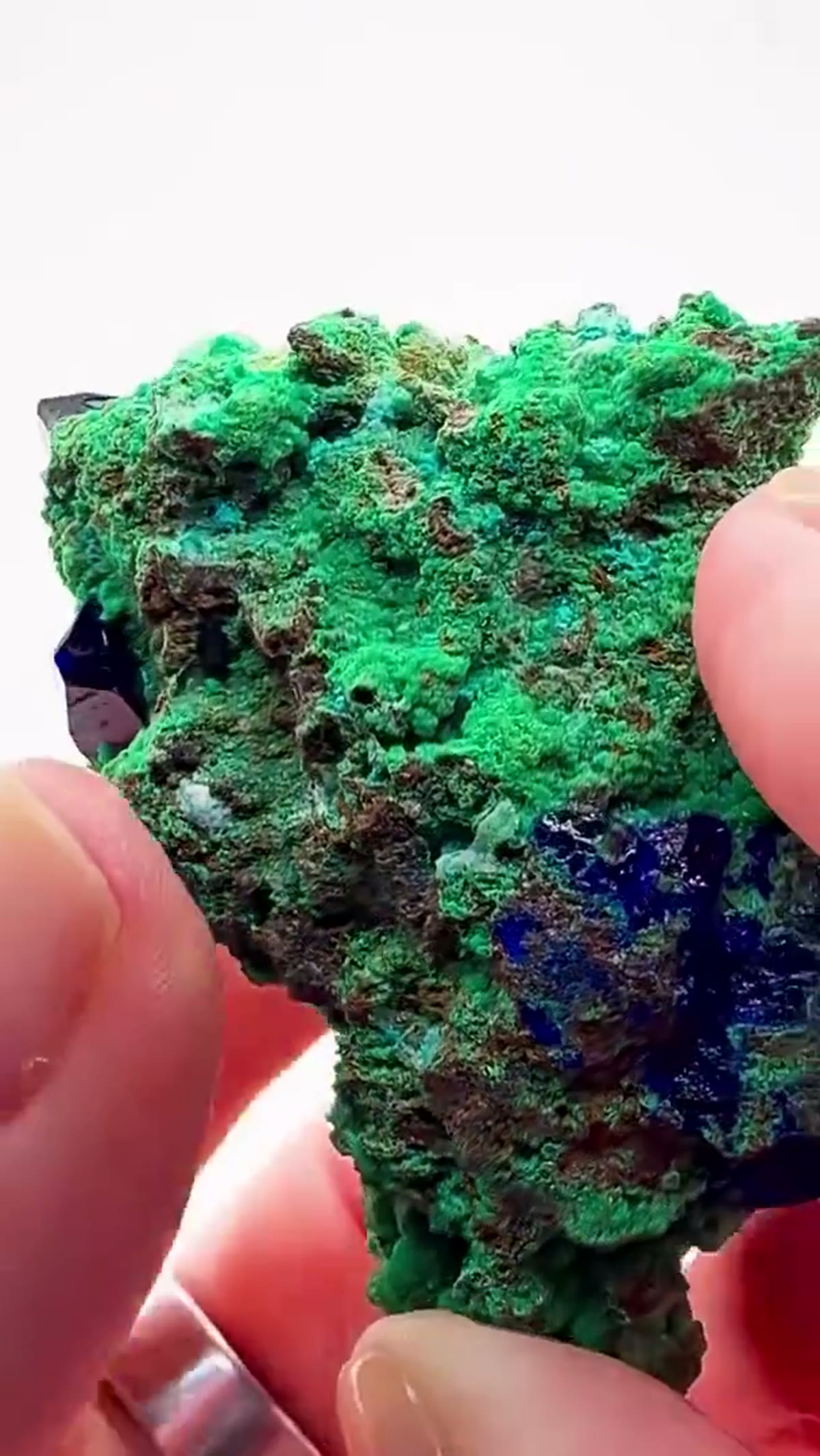 Azurite Specimen from Namibia: A Tsumeb Classic with Exceptional Provenance - view 2