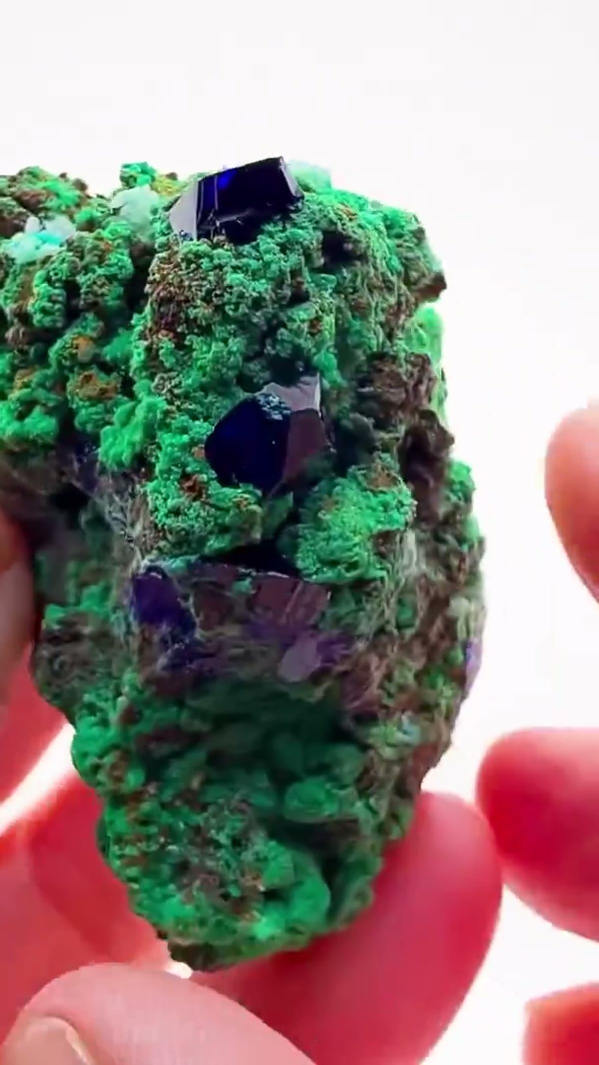 Azurite Specimen from Namibia: A Tsumeb Classic with Exceptional Provenance - view 3