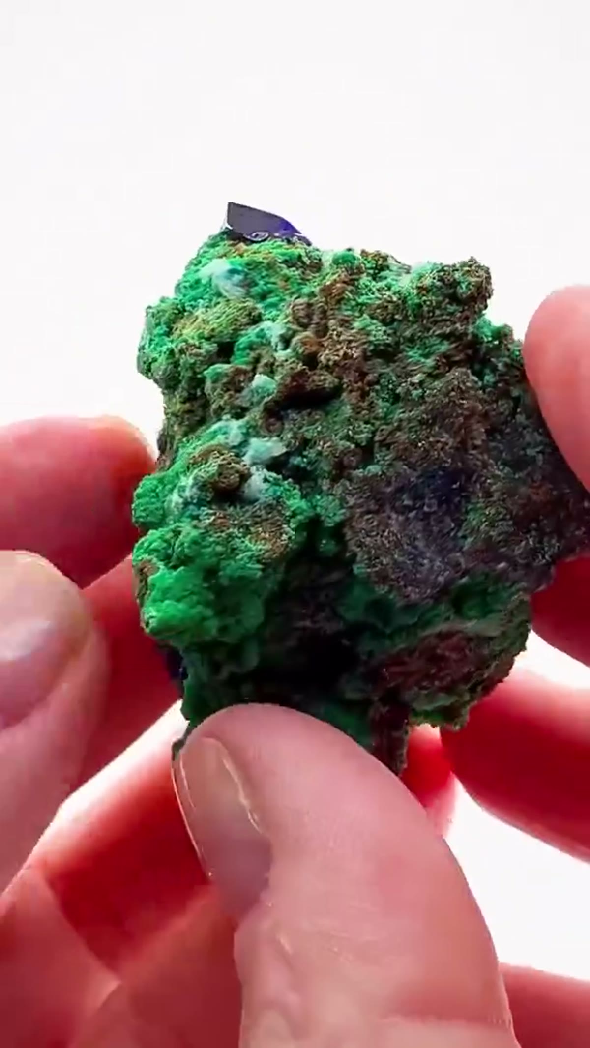 Azurite Specimen from Namibia: A Tsumeb Classic with Exceptional Provenance - view 4