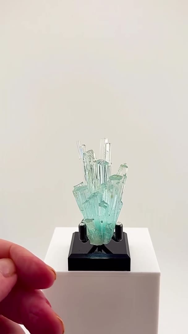 A FROZEN BURST OF BLUE