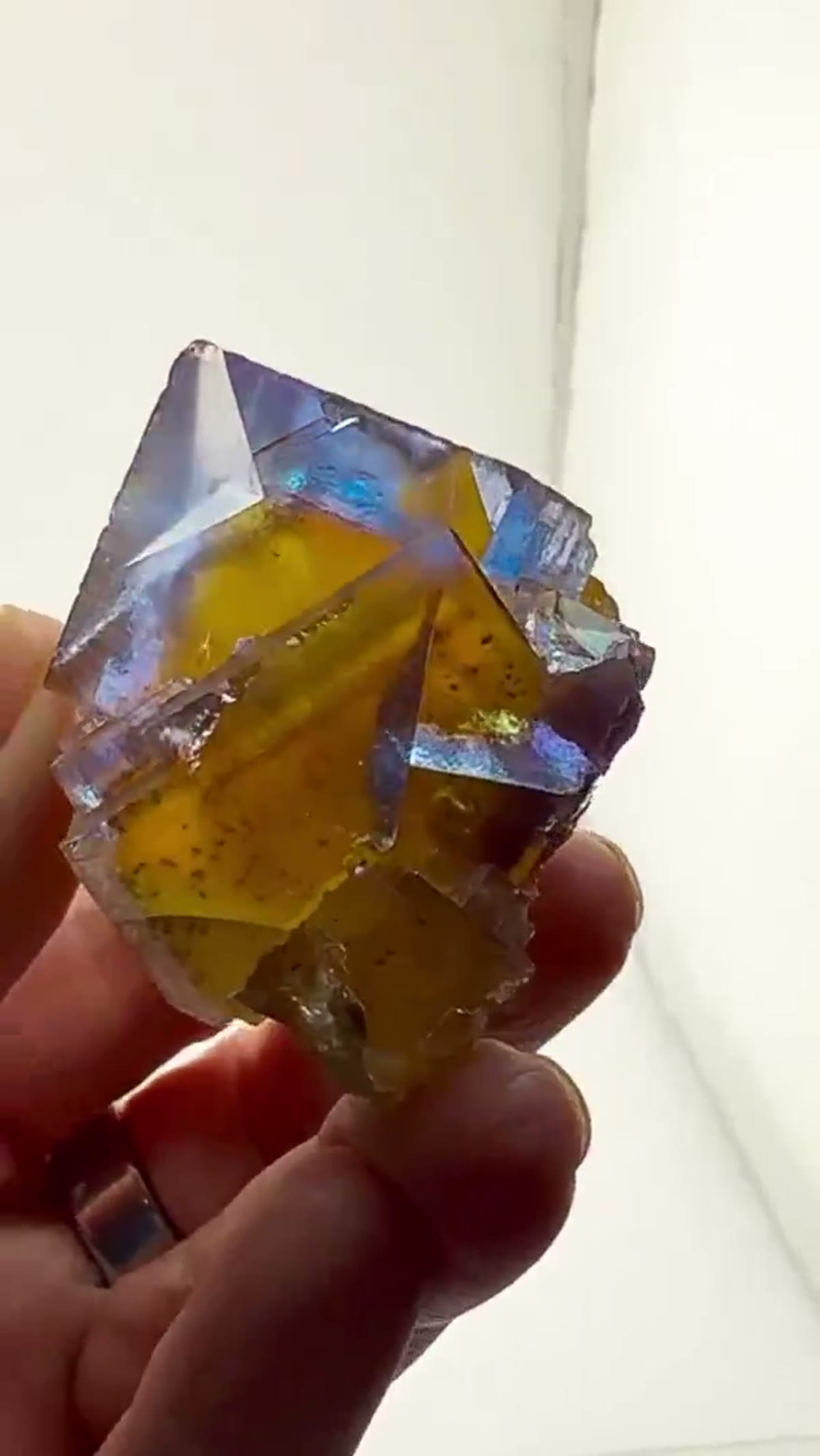 Fluorite Specimen from Minerva No. 1 Mine, Illinois: Blue Golden Heart. Pure Minerva Magic - view 2