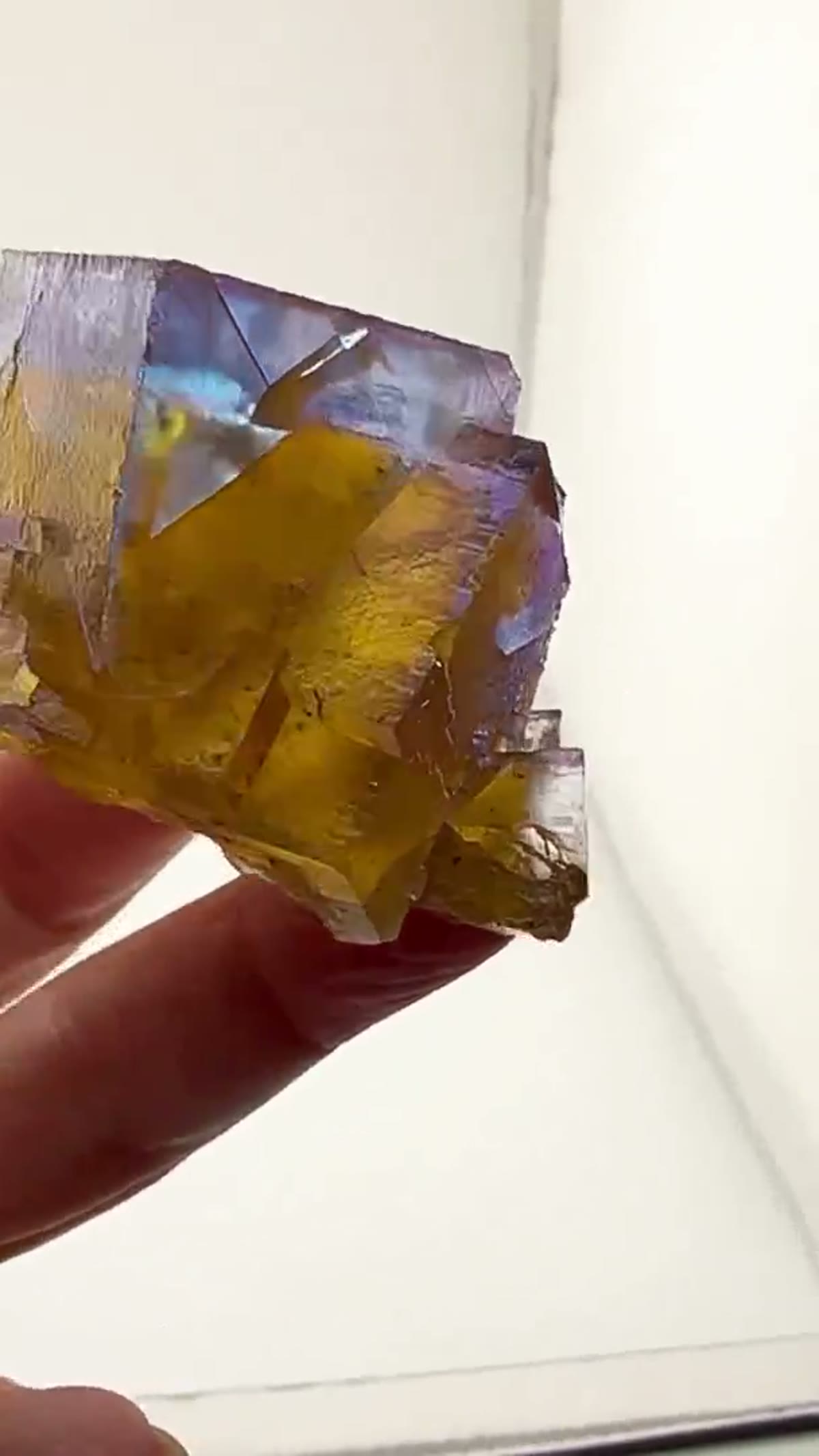 Fluorite Specimen from Minerva No. 1 Mine, Illinois: Blue Golden Heart. Pure Minerva Magic - view 3