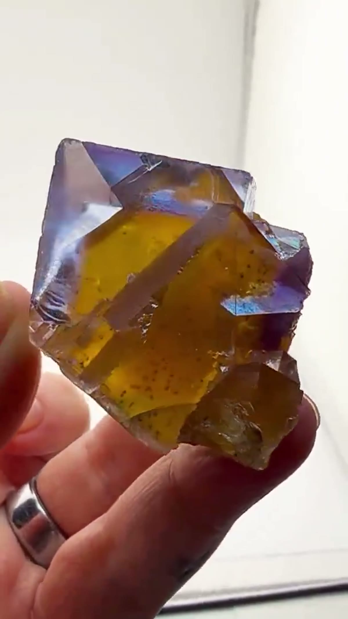 Fluorite Specimen from Minerva No. 1 Mine, Illinois: Blue Golden Heart. Pure Minerva Magic - view 4