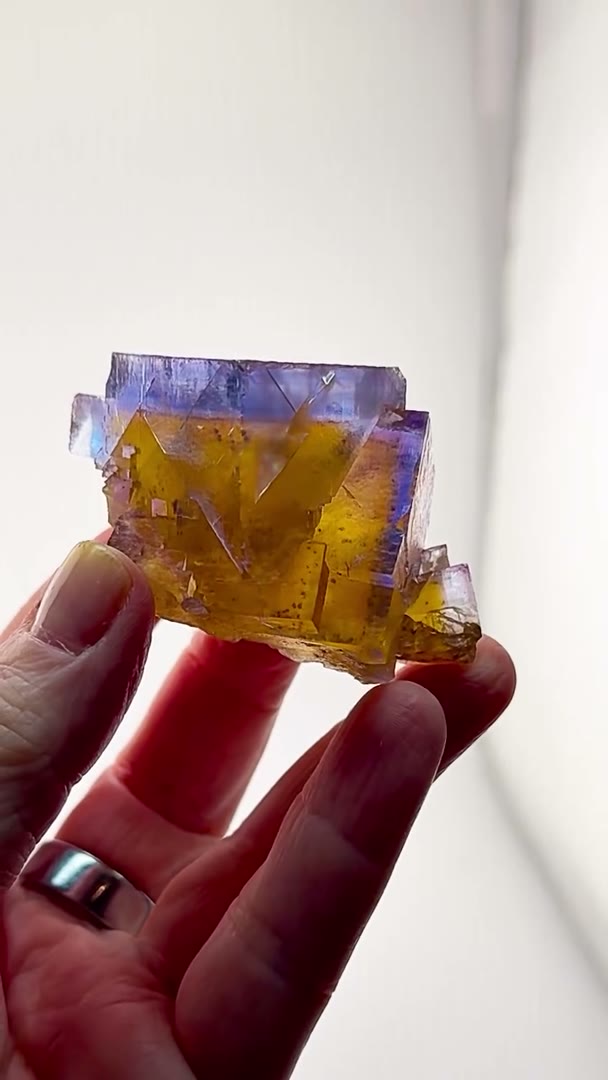 BLUE FIRE. GOLDEN HEART. PURE MINERVA MAGIC