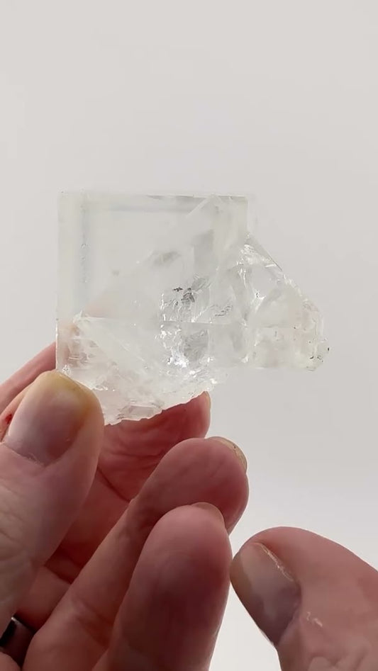FROZEN IN TIME