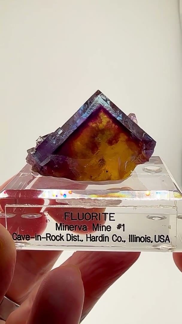 A KALEIDOSCOPE OF COLOR FROM ILLINOIS