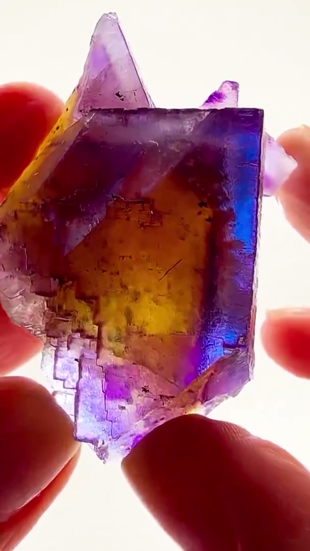 Fluorite Specimen from Minerva No. 1 Mine, Illinois: Multicolor Magic from Minerva No. 2 - view 2
