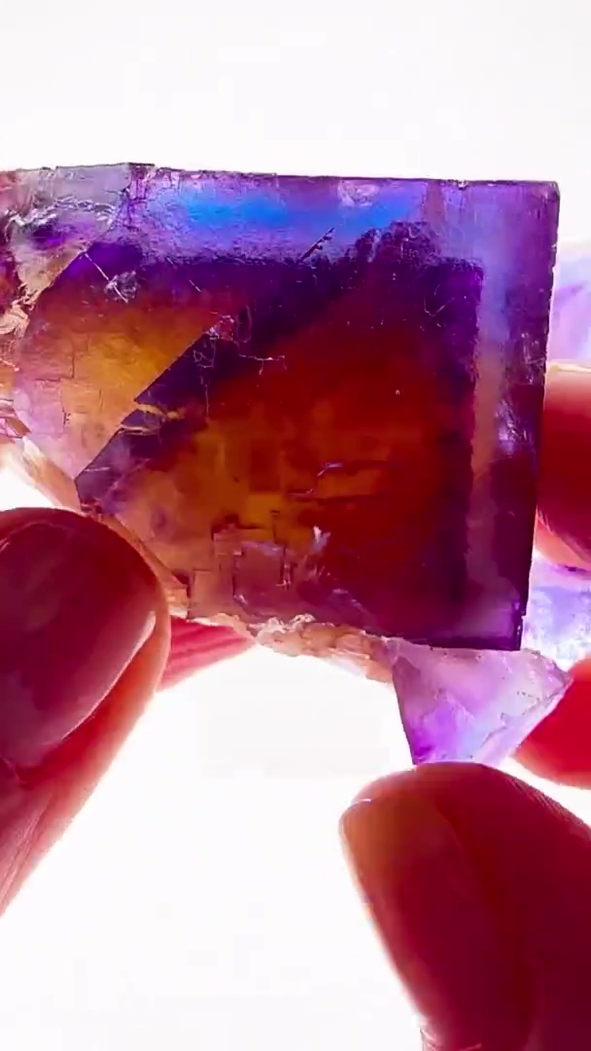 Fluorite Specimen from Minerva No. 1 Mine, Illinois: Multicolor Magic from Minerva No. 2 - view 3