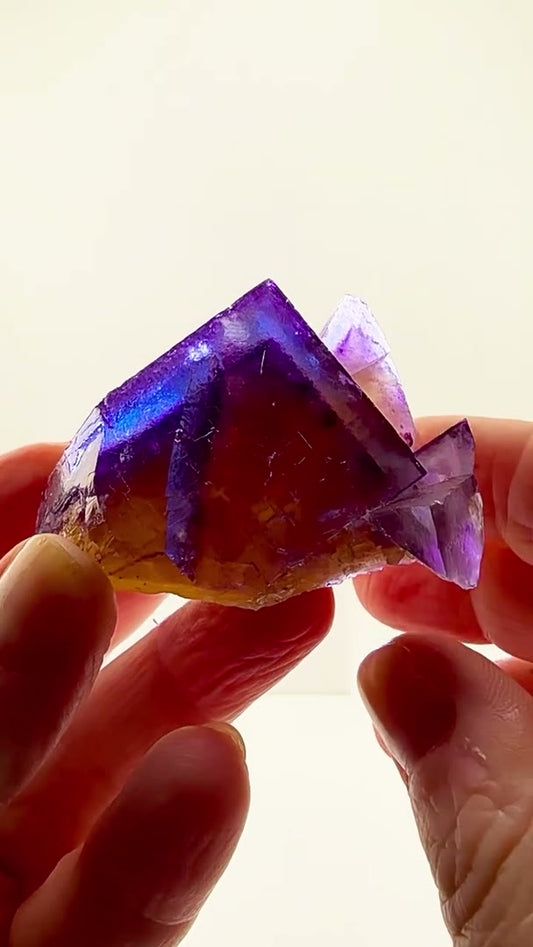 MULTICOLOR MAGIC FROM MINERVA NO. 2