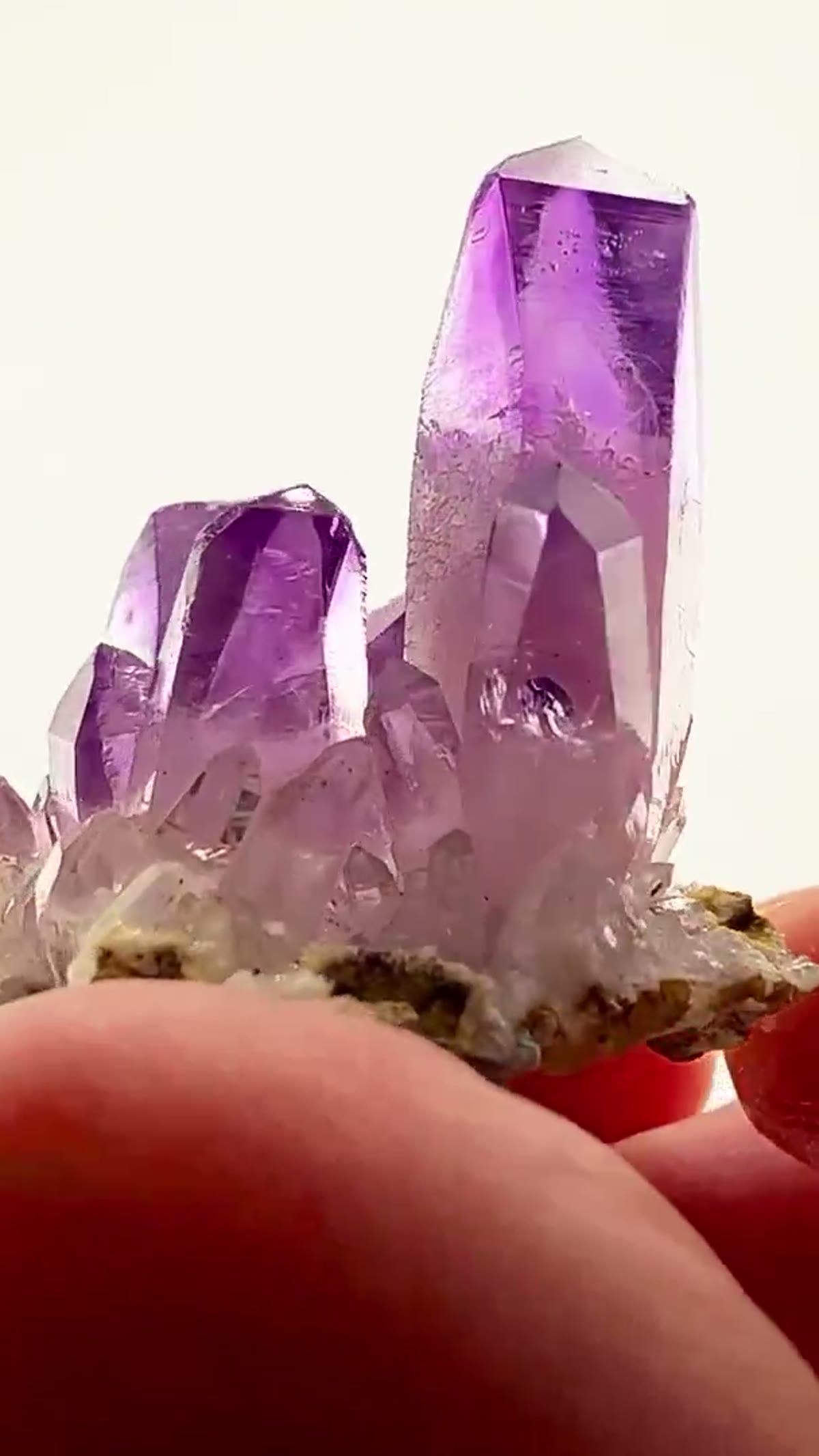 Amethyst Specimen from Mexico: Small Specimen. Massive Presence - view 2