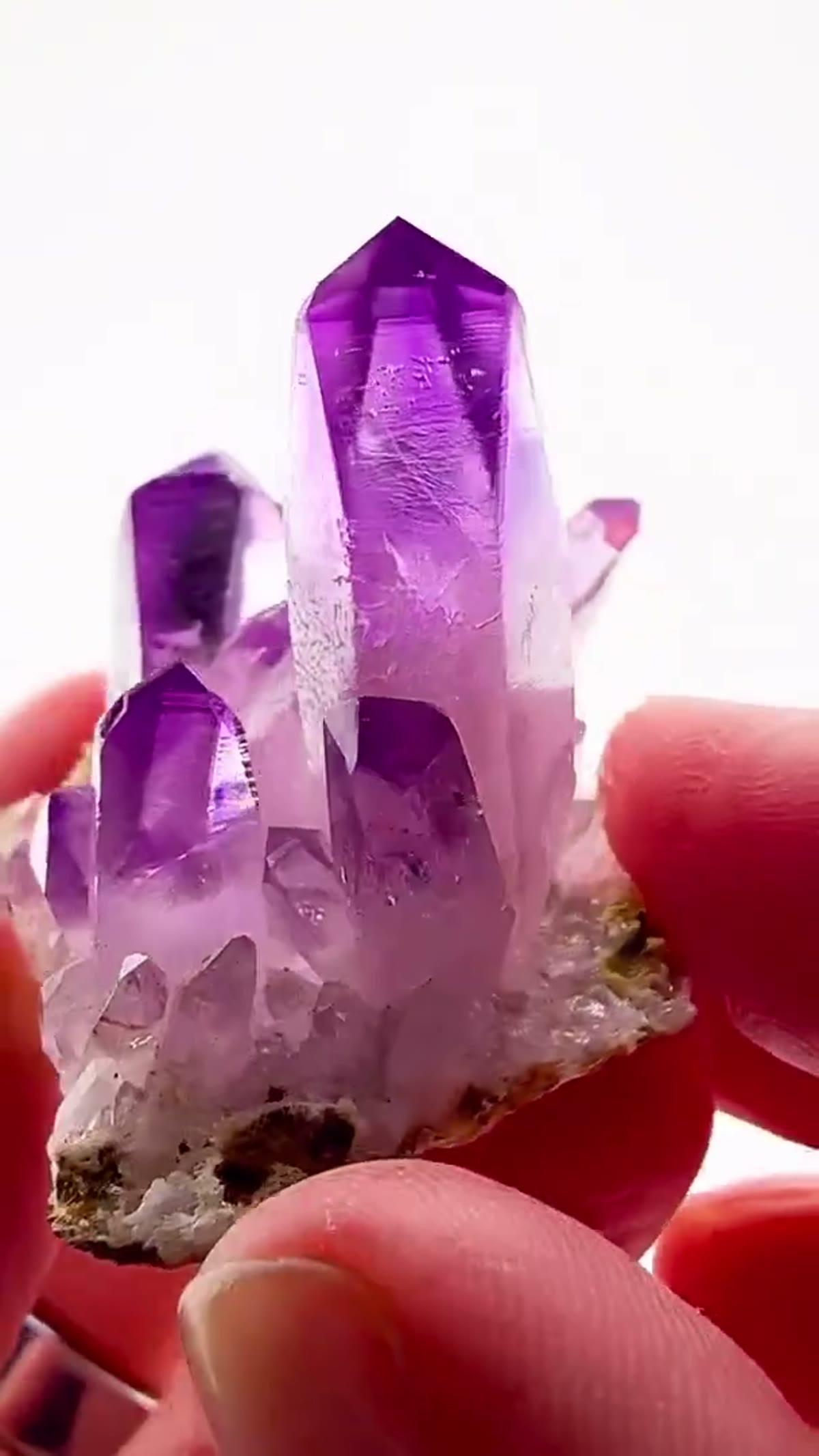 Amethyst Specimen from Mexico: Small Specimen. Massive Presence - view 3