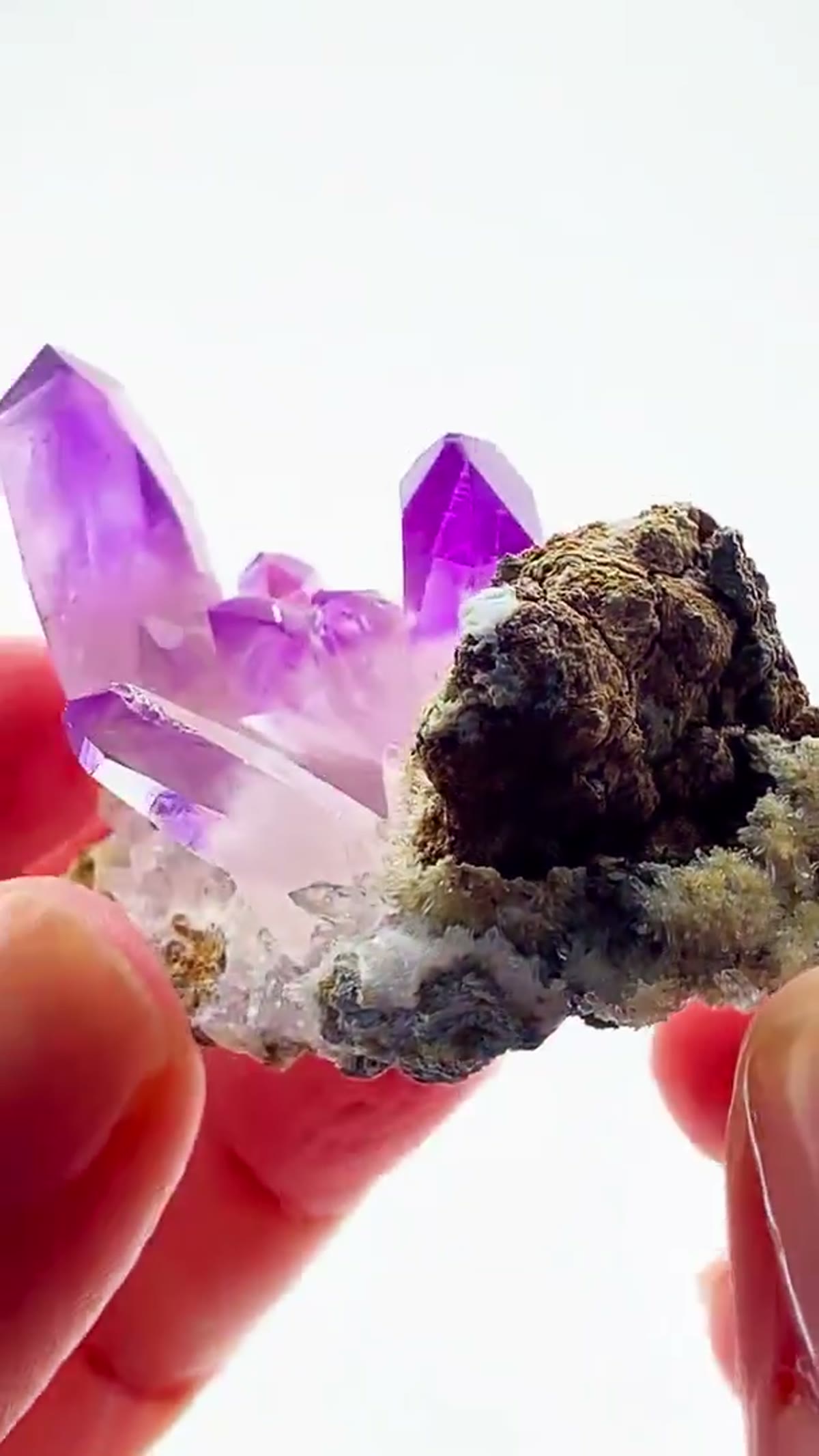 Amethyst Specimen from Mexico: Small Specimen. Massive Presence - view 4