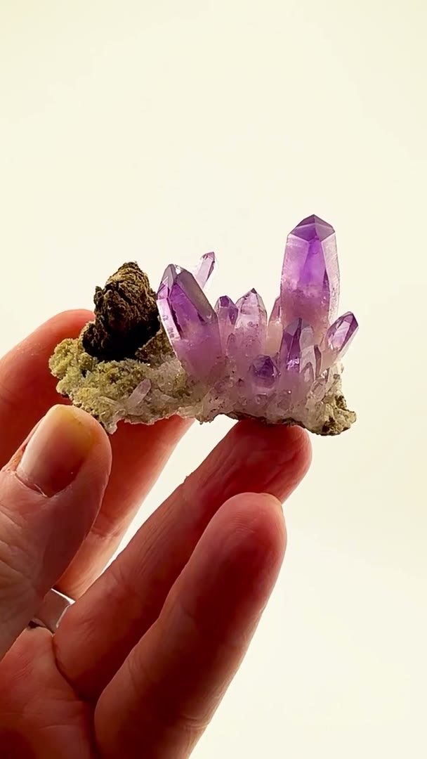 SMALL SPECIMEN. MASSIVE PRESENCE