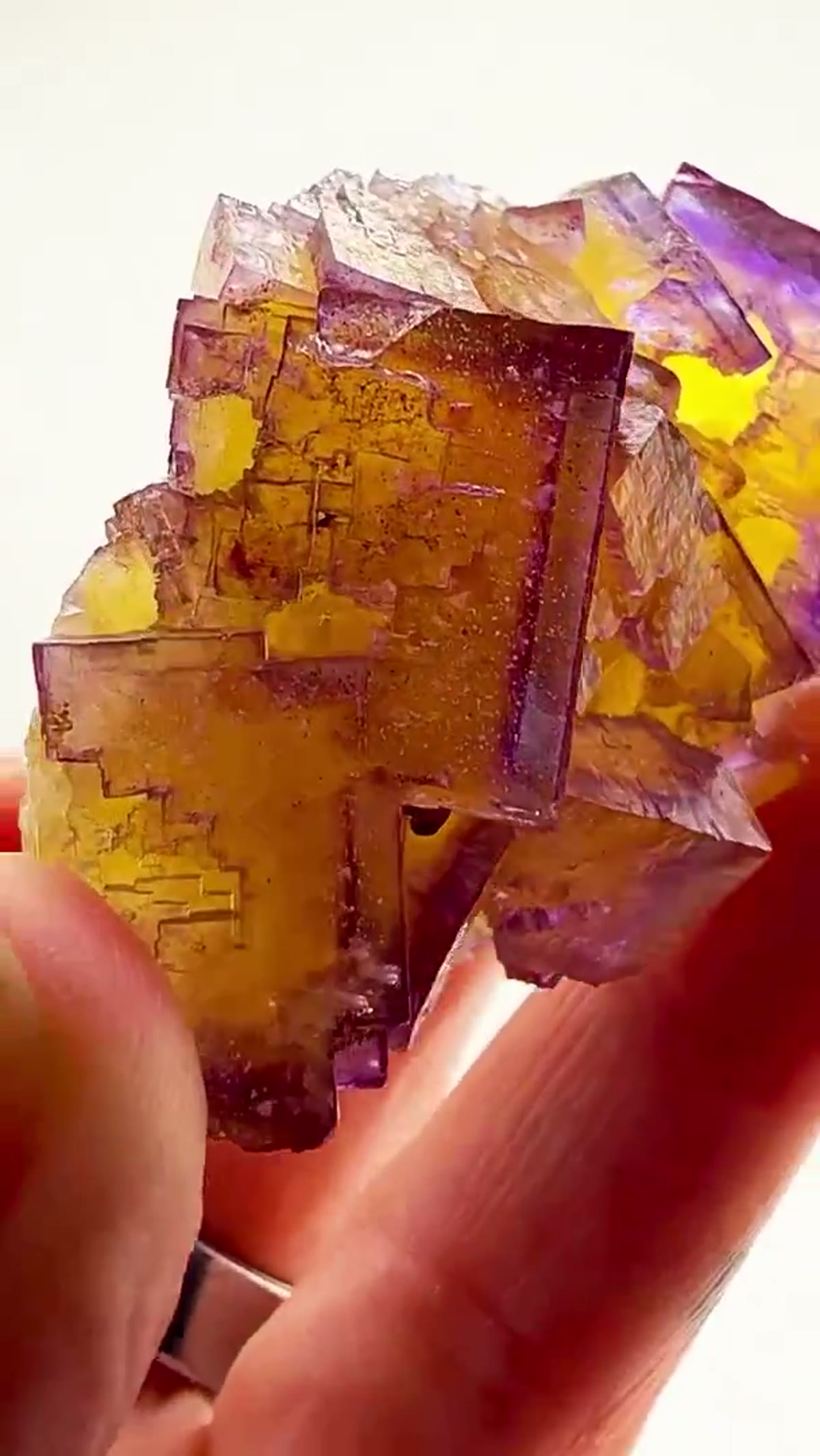 Fluorite Specimen from Minerva No. 1 Mine, Illinois: Three Colors. One Incredible Fluorite - view 2