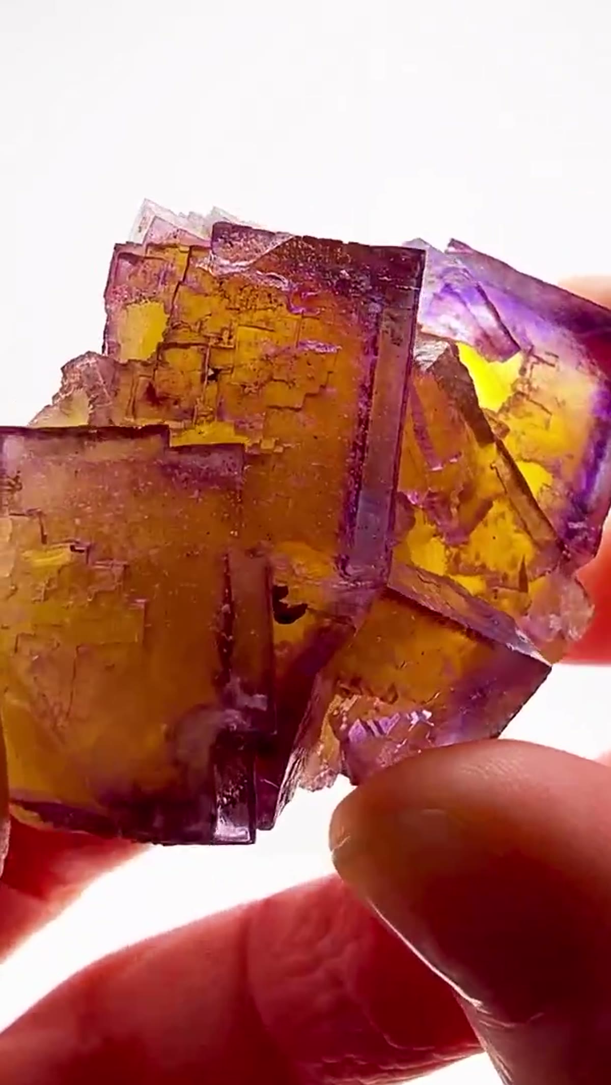 Fluorite Specimen from Minerva No. 1 Mine, Illinois: Three Colors. One Incredible Fluorite - view 3