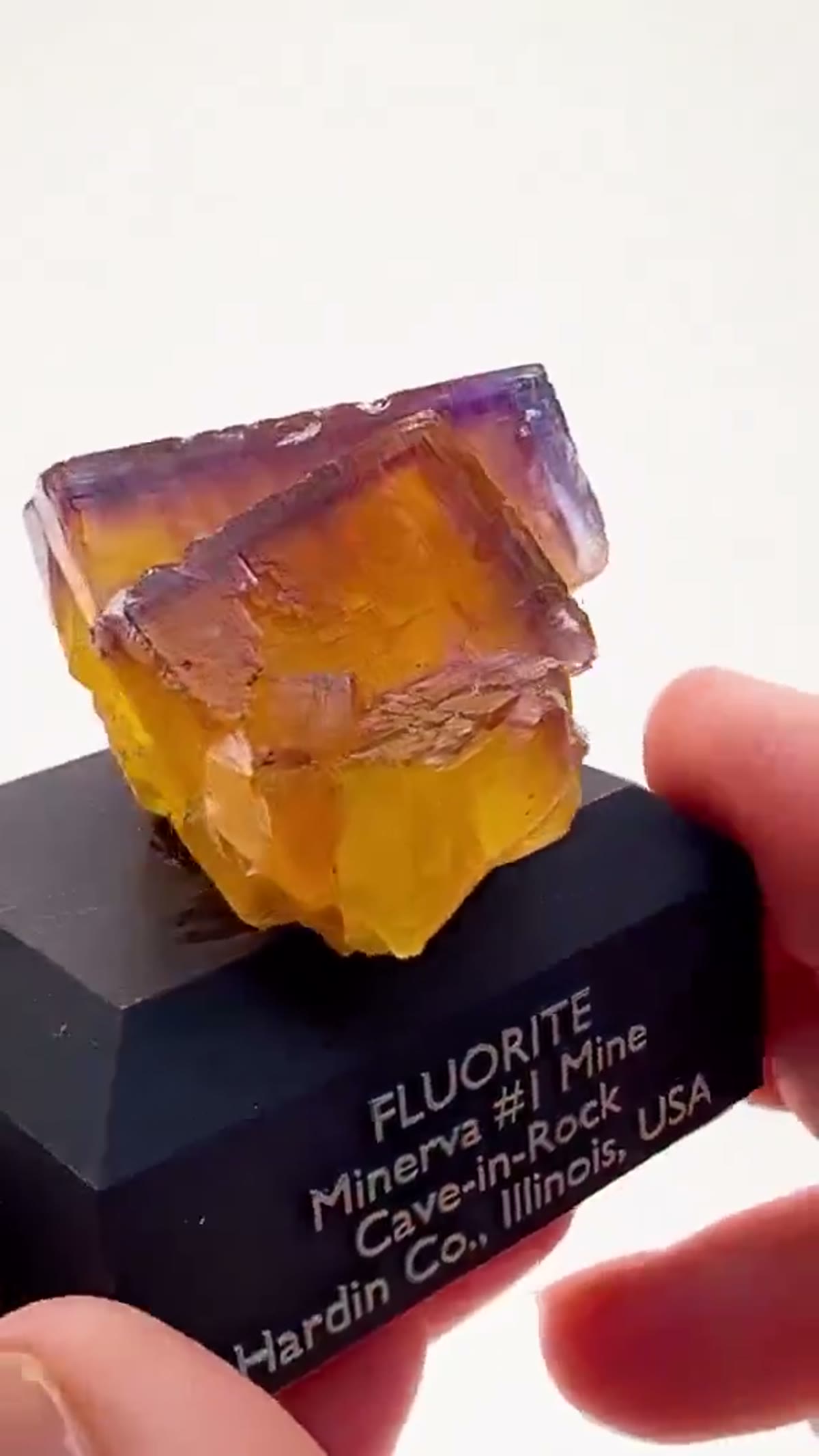 Fluorite Specimen from Minerva No. 1 Mine, Illinois: Illinois Fluorite at its Finest - view 2