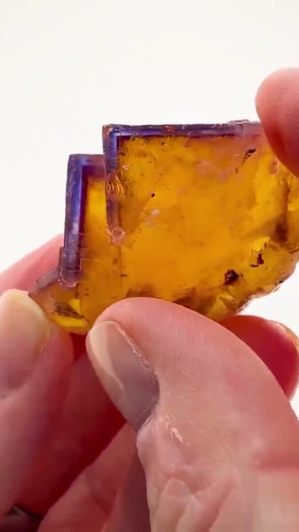 Fluorite Specimen from Minerva No. 1 Mine, Illinois: Illinois Fluorite at its Finest - view 3