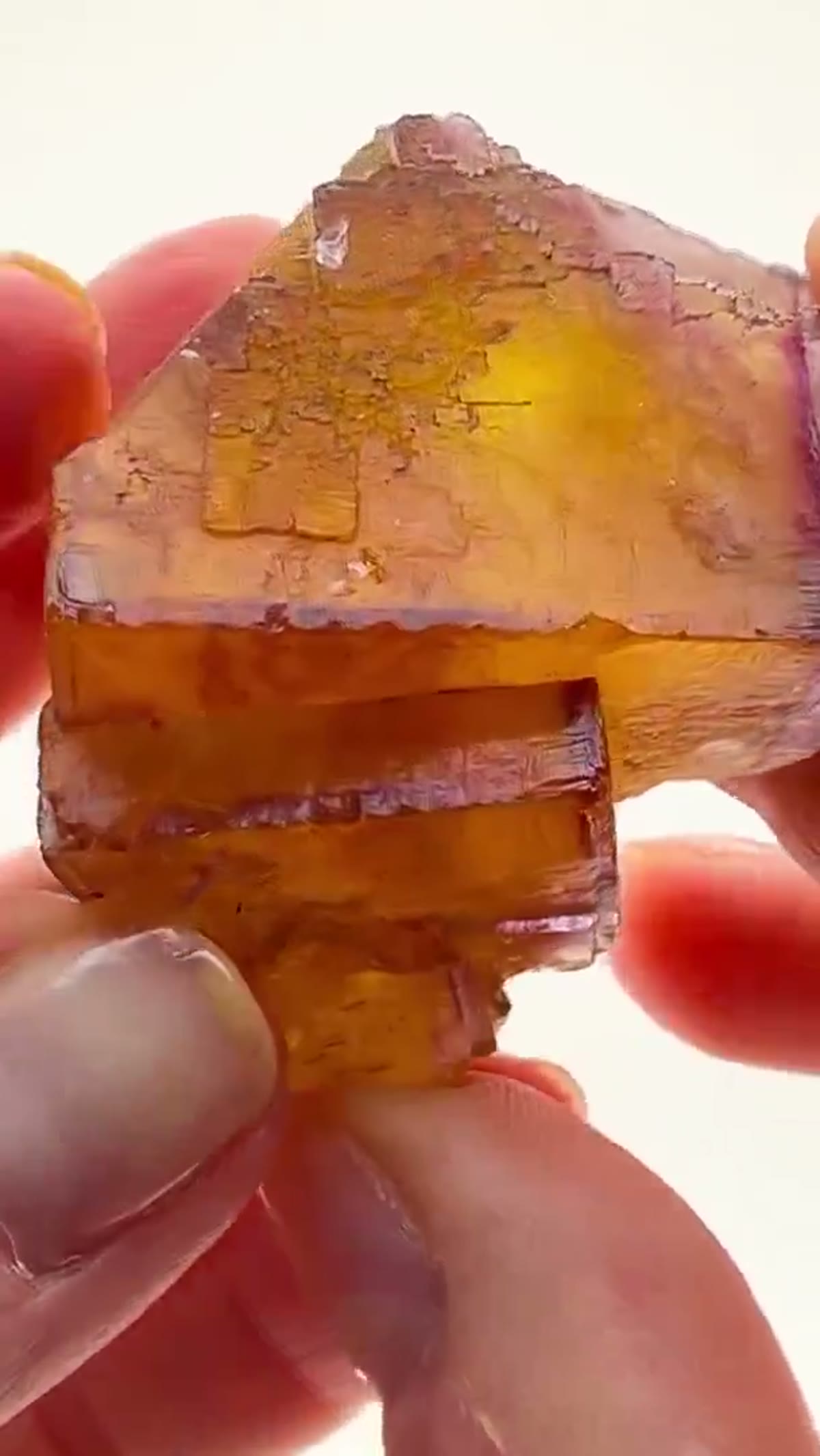 Fluorite Specimen from Minerva No. 1 Mine, Illinois: Illinois Fluorite at its Finest - view 4