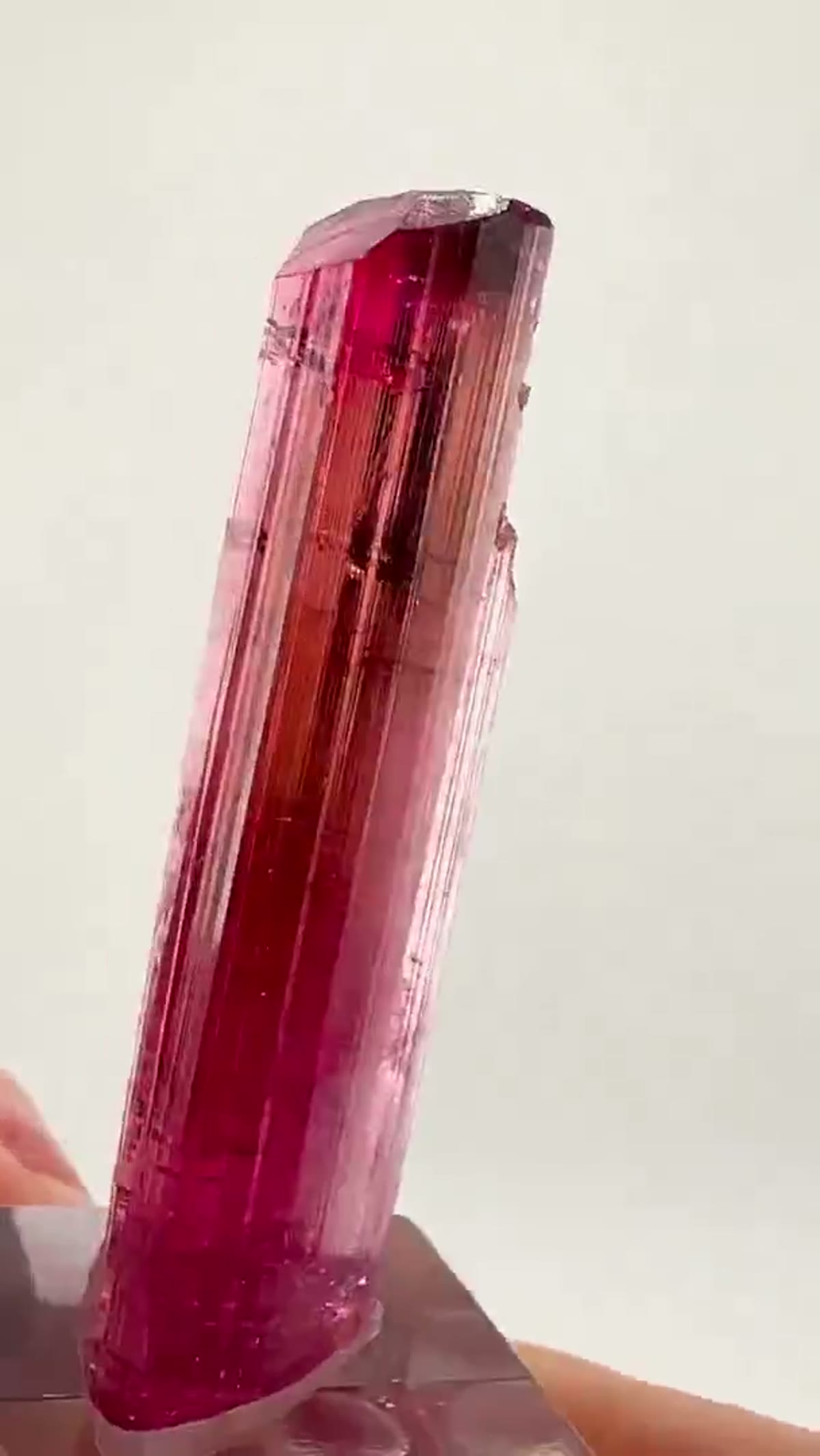 Elbaite Tourmaline Specimen from Cruzeiro Mine, Brazil, 10.71 g - view 3