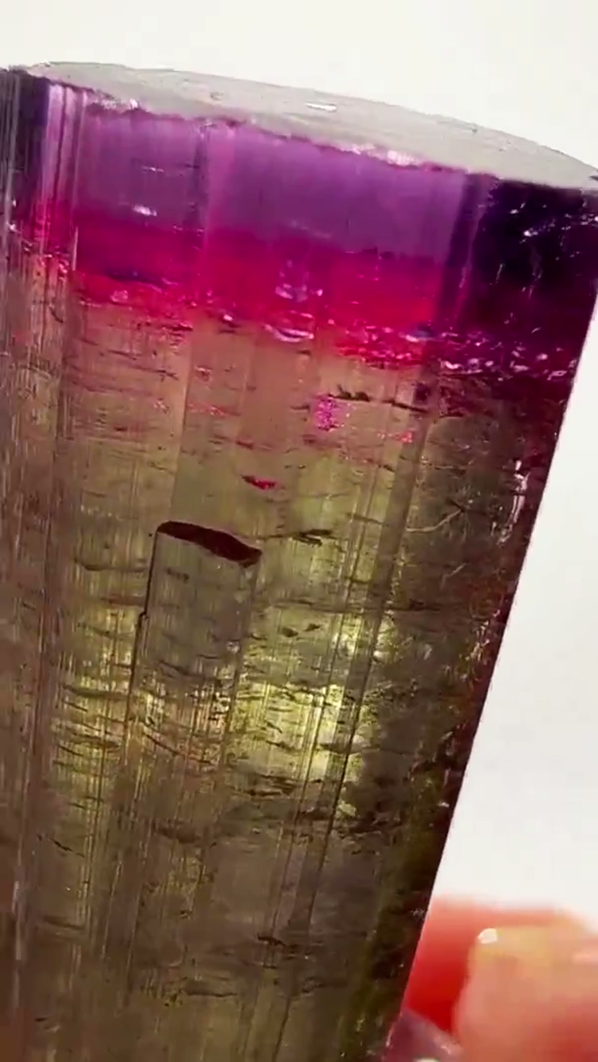 Elbaite Tourmaline Specimen from Paprok, Afghanistan, 10.36 g: A Paprok Color Showstopper - view 4