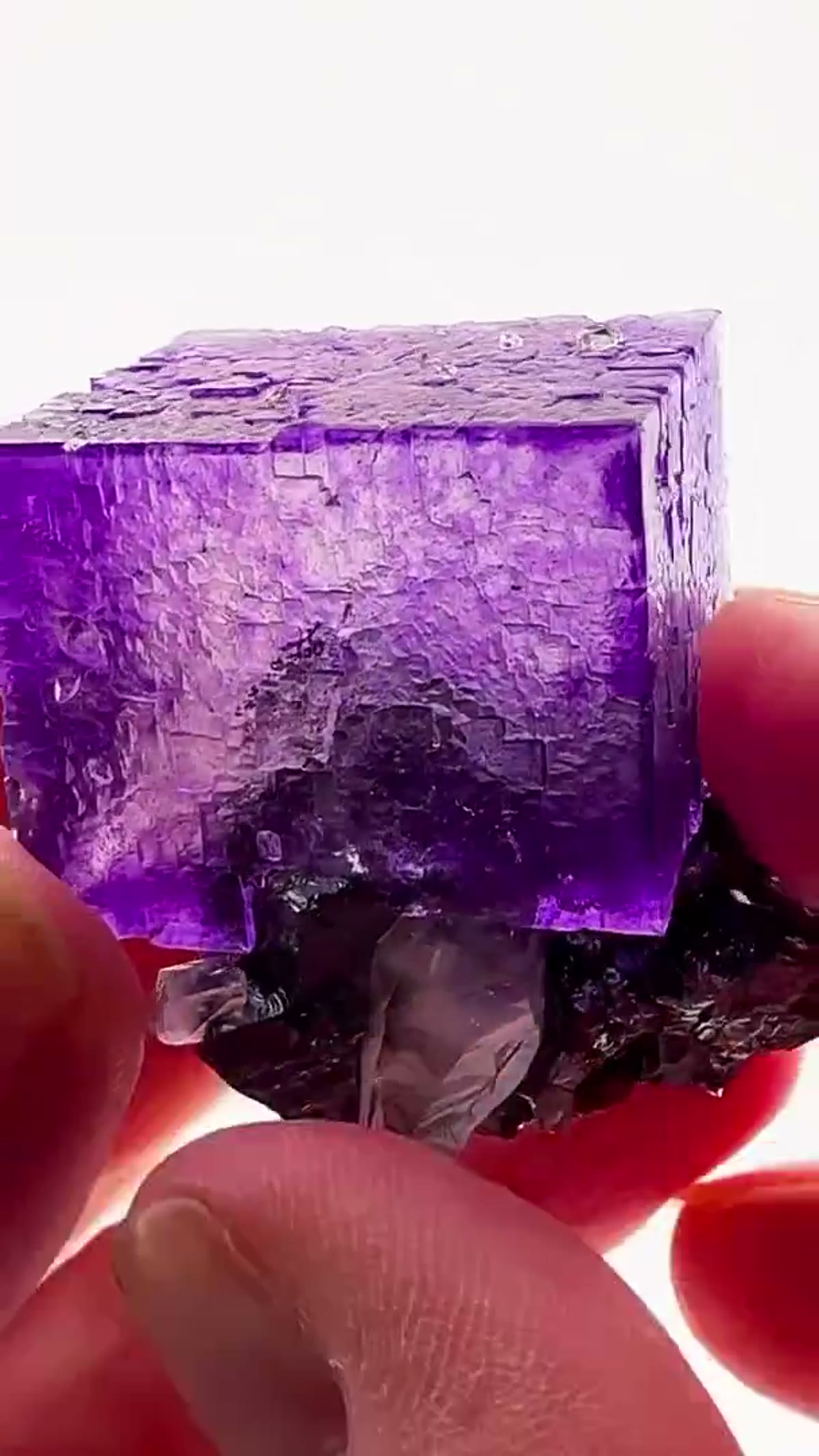 Fluorite Specimen from Elmwood Mine, Tennessee: Perfect Purple Geometry - view 3