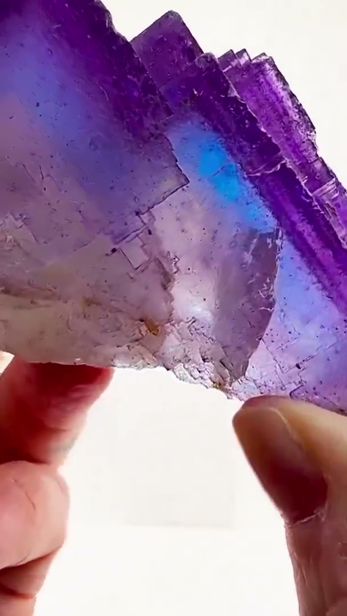 Fluorite Specimen from Minerva No. 1 Mine, Illinois: When Blue Meets Purple… Magic Happens - view 4