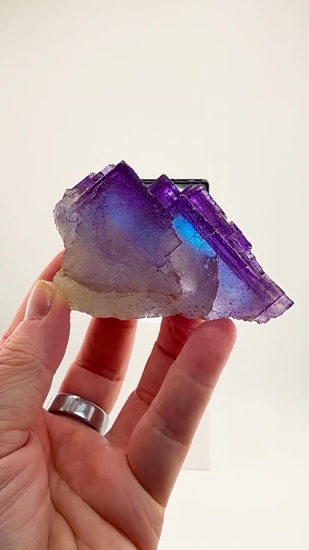 WHEN BLUE MEETS PURPLE… MAGIC HAPPENS