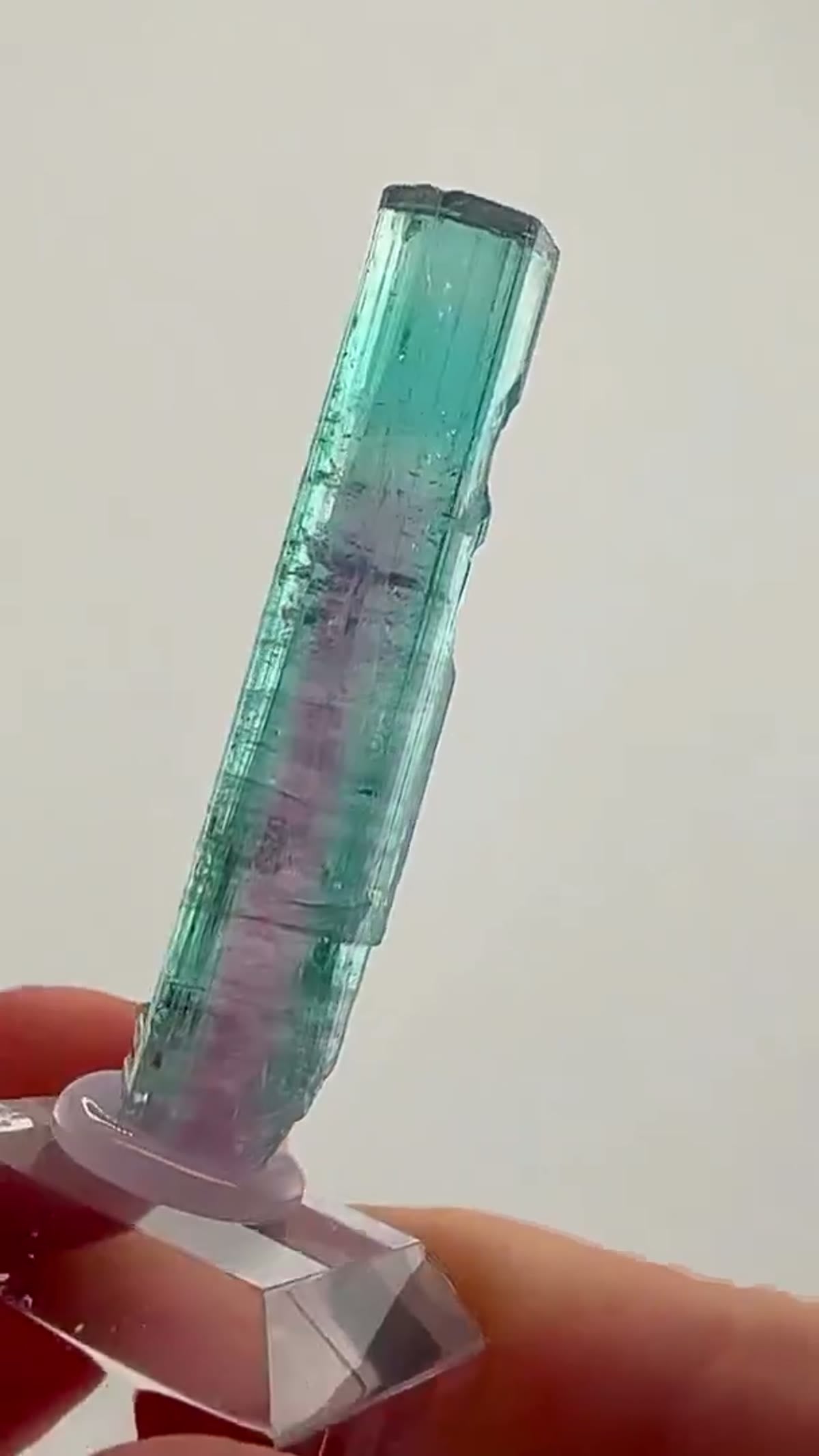 Elbaite Tourmaline Specimen from Minas Gerais, Brazil: An Elegant Brazilian Classic - view 2