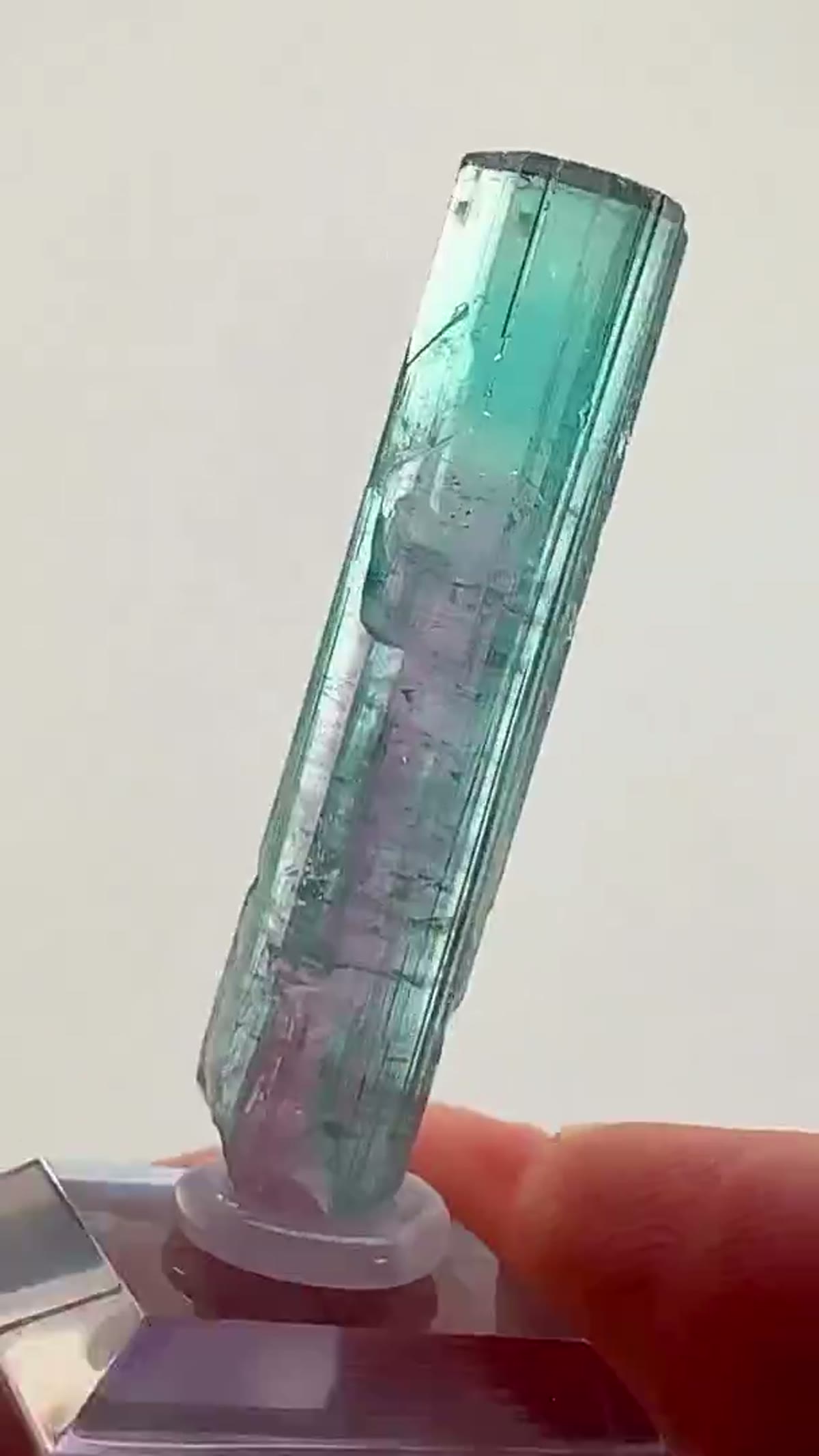Elbaite Tourmaline Specimen from Minas Gerais, Brazil: An Elegant Brazilian Classic - view 3