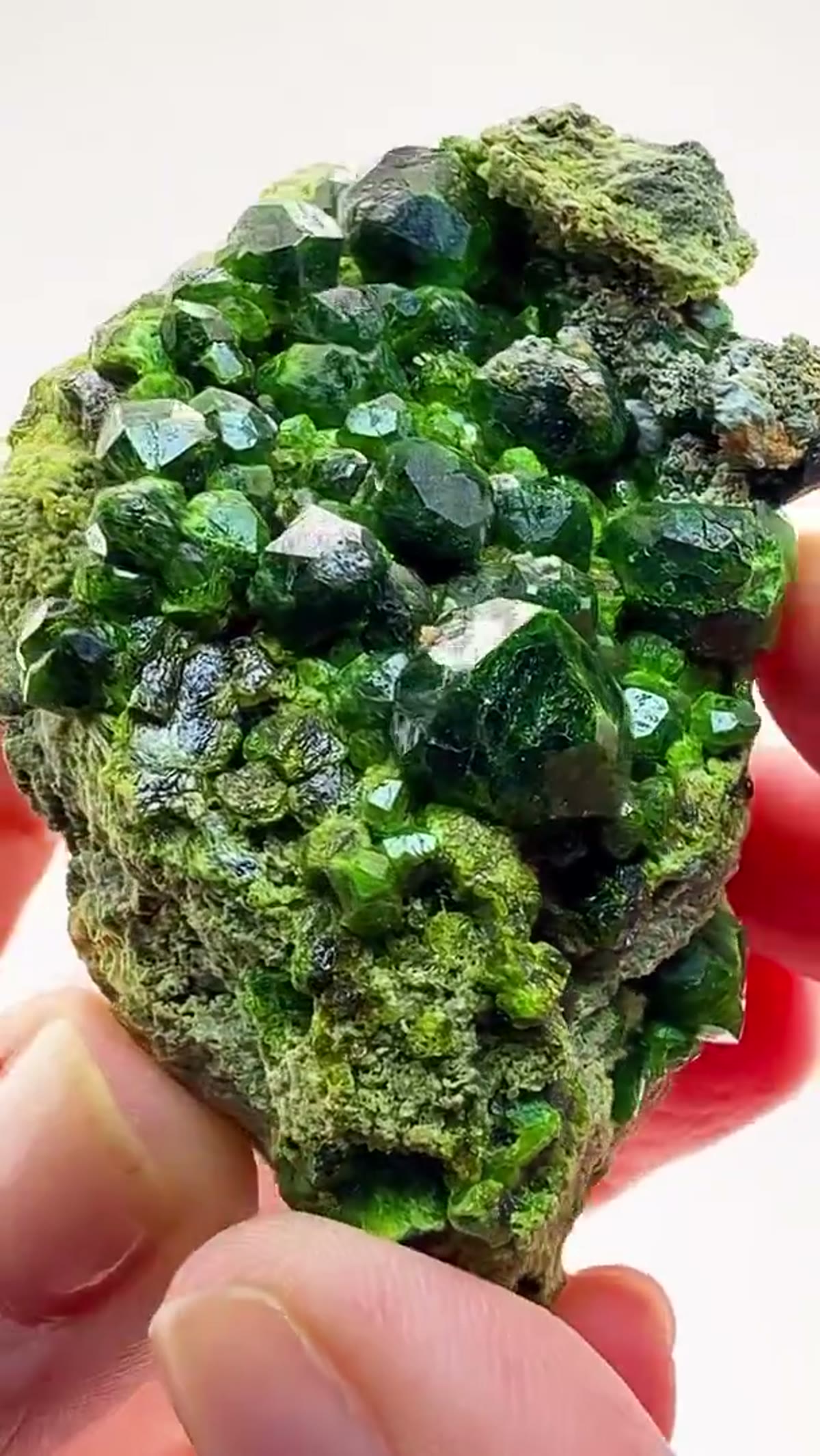 Garnet Specimen: Demantoid Green That Absolutely Glows - view 2