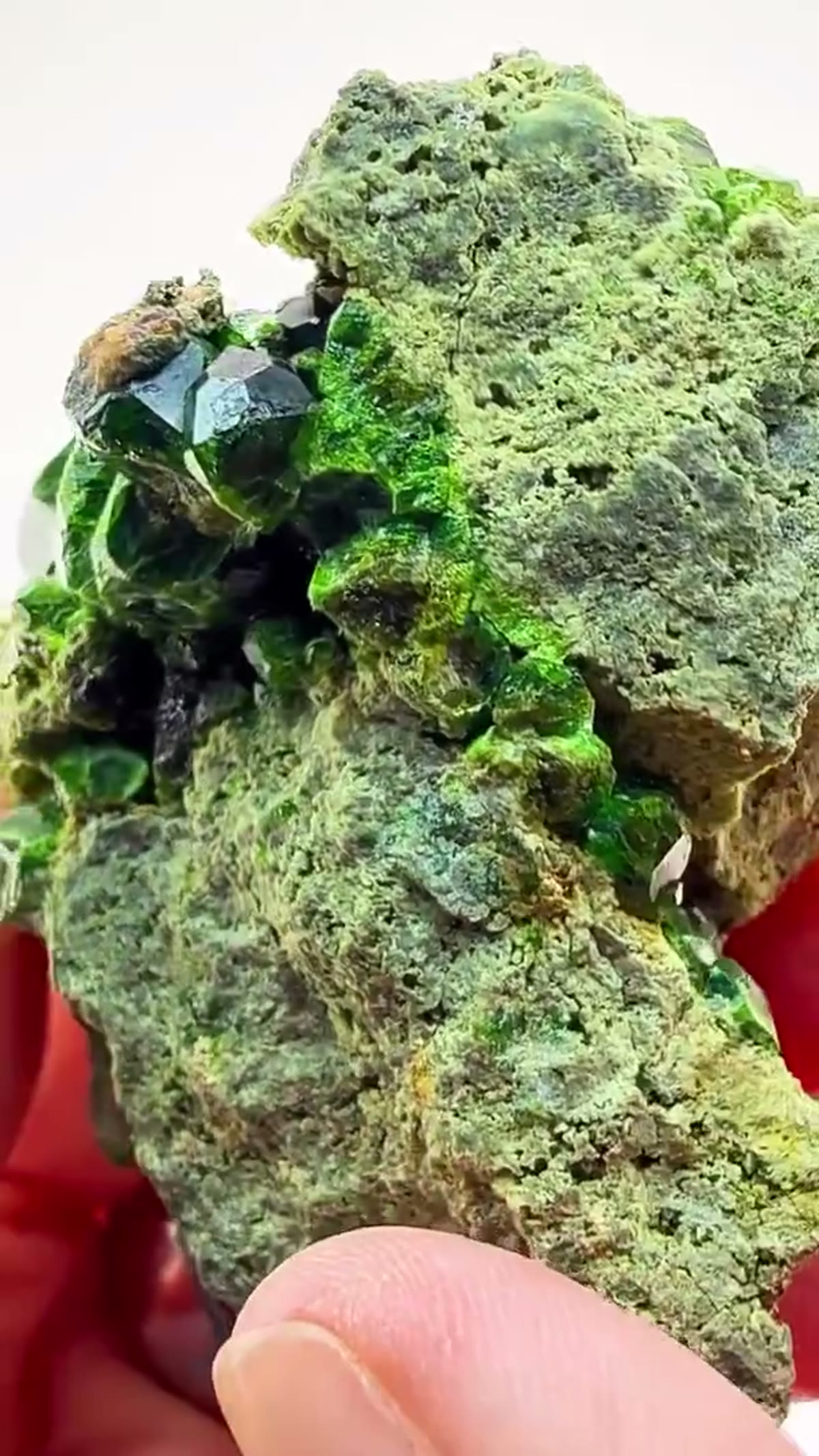 Garnet Specimen: Demantoid Green That Absolutely Glows - view 3