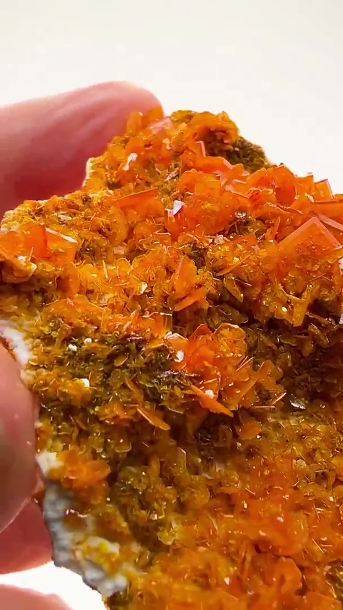 Wulfenite Specimen: Absolutely ON Double Sided - view 2