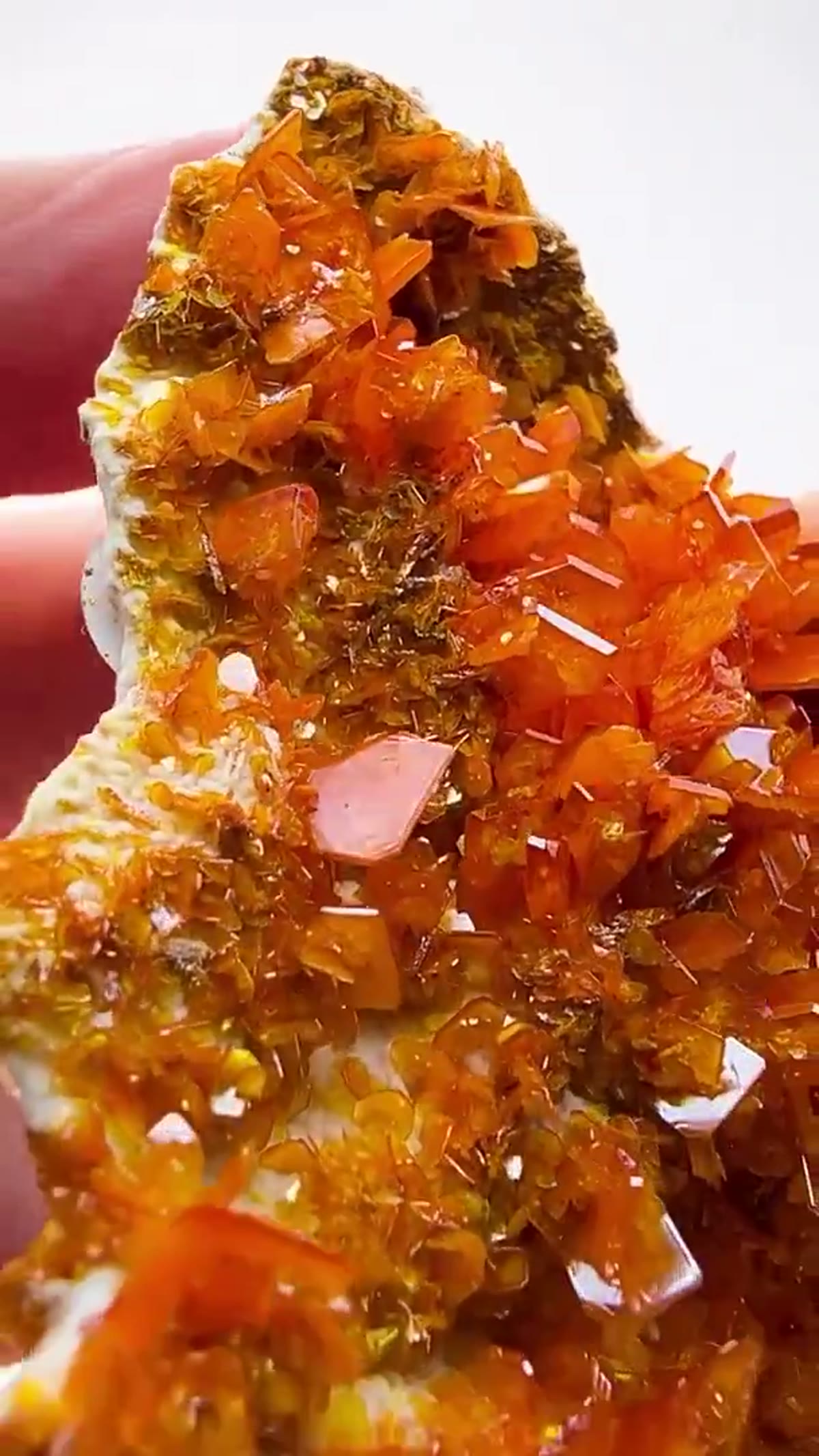 Wulfenite Specimen: Absolutely ON Double Sided - view 3