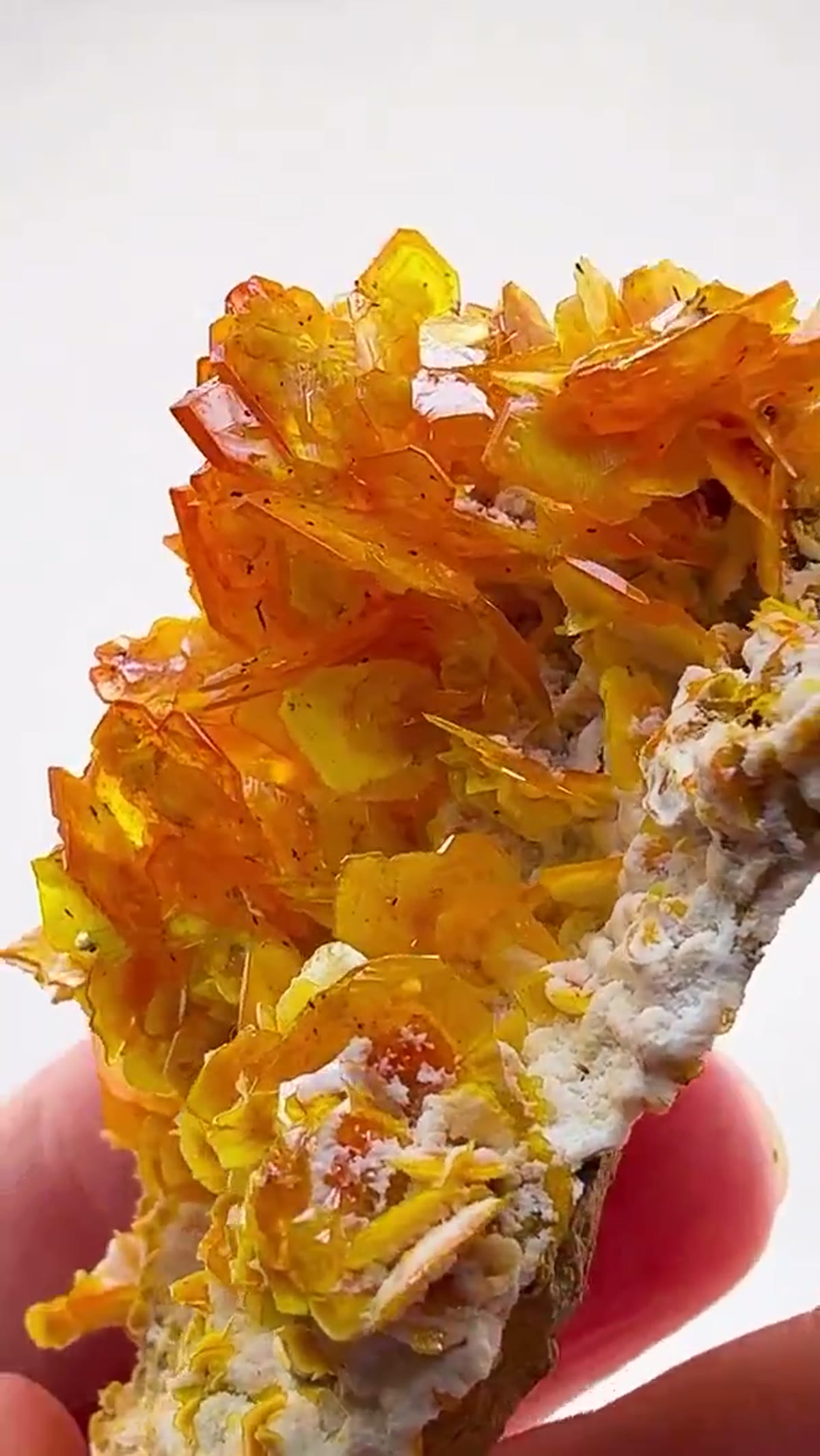 Wulfenite Specimen: Wulfenite Absolutely Dripping in Color - view 2