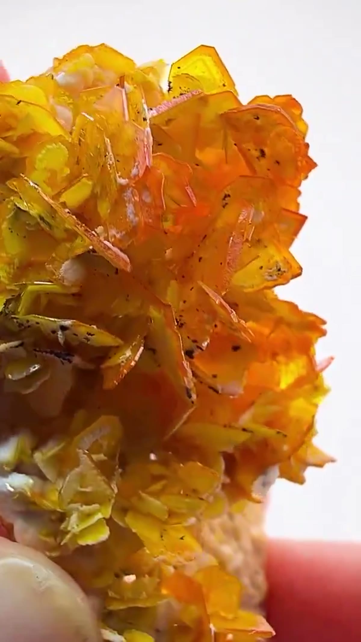 Wulfenite Specimen: Wulfenite Absolutely Dripping in Color - view 3