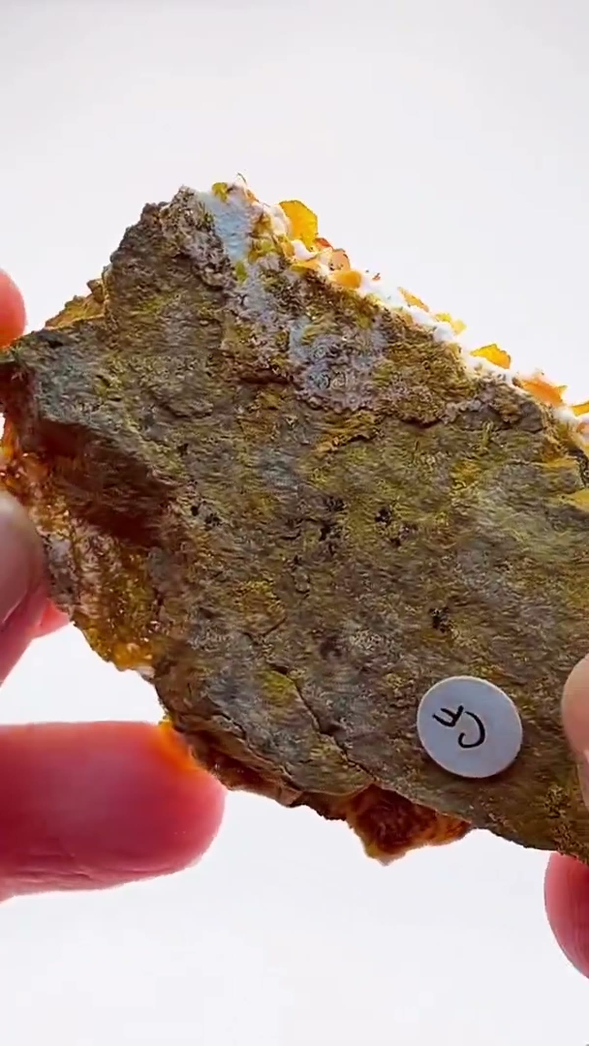 Wulfenite Specimen: Wulfenite Absolutely Dripping in Color - view 4