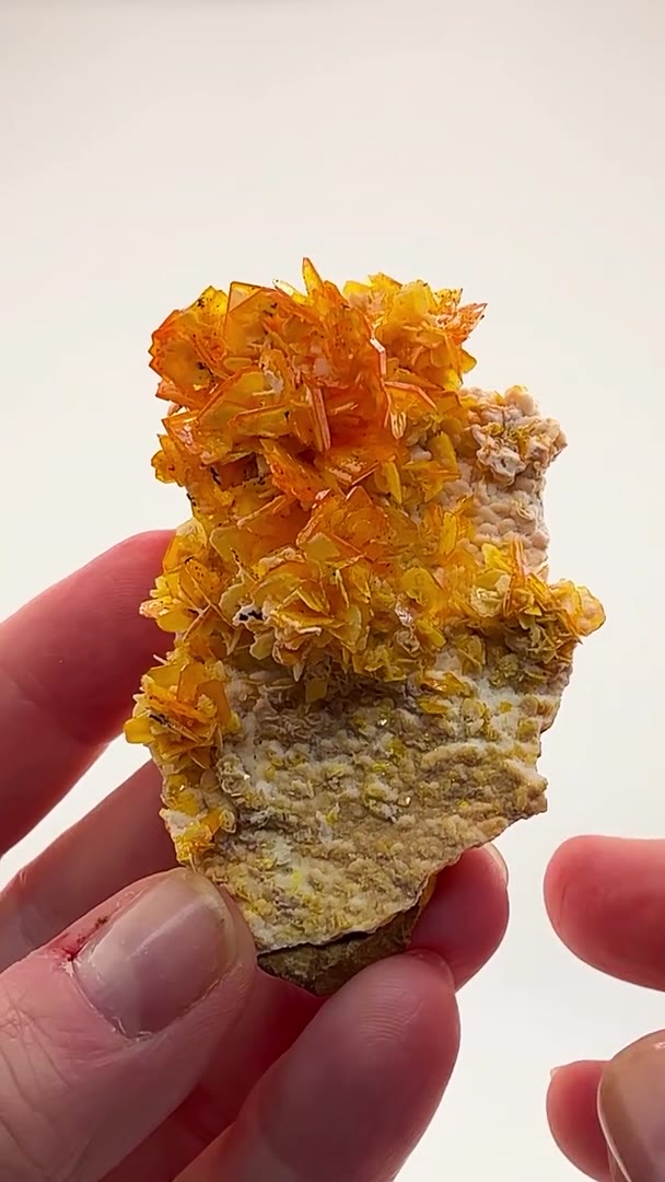WULFENITE ABSOLUTELY DRIPPING IN COLOR