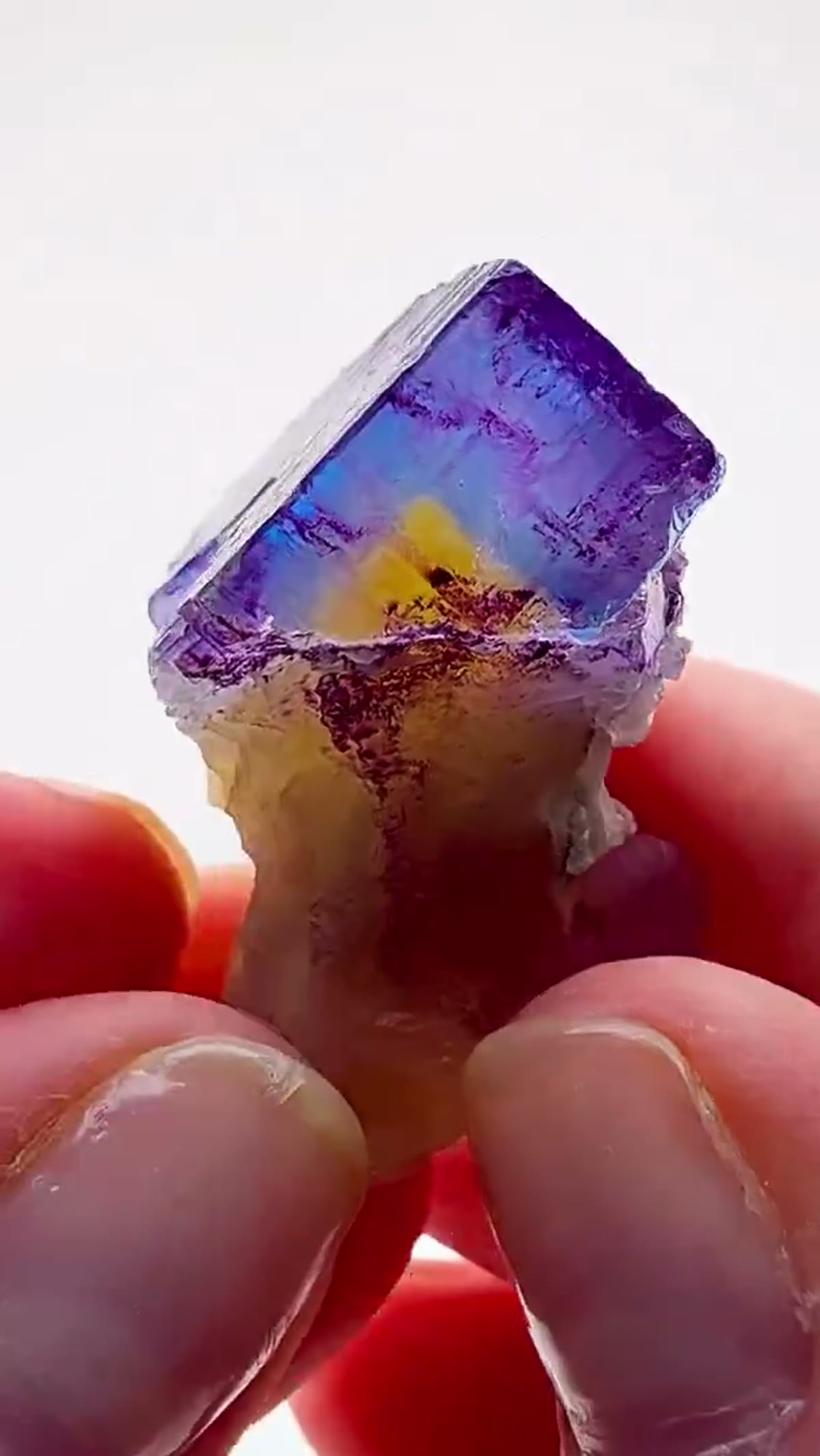 Fluorite Specimen from Annabel Lee Mine, Illinois: An Annabel Lee Toadstool Color - view 4