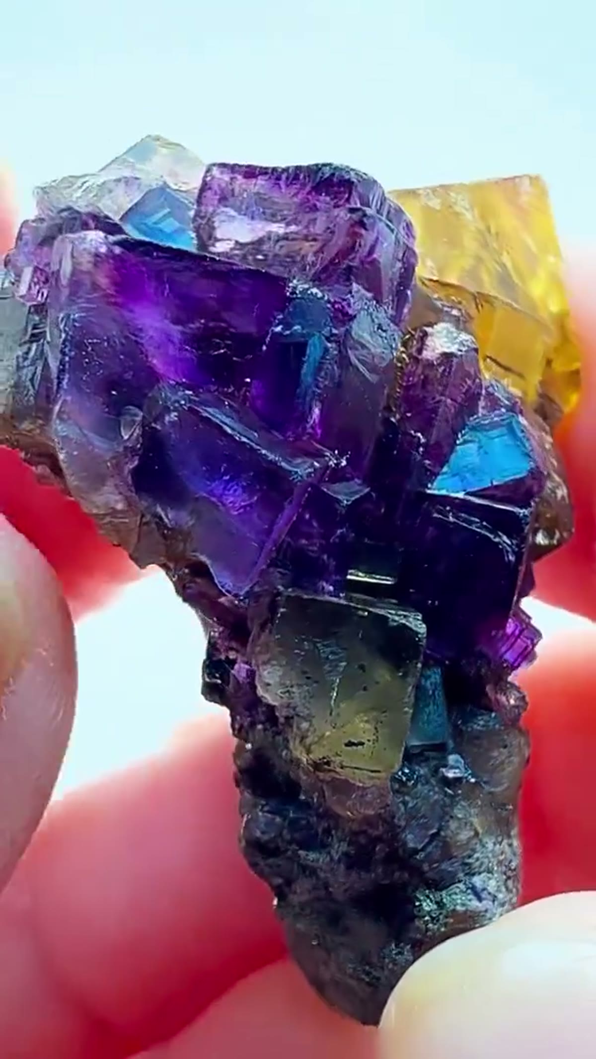 Fluorite Specimen from Hardin County, Illinois: Yellow & Purple Illinois Magic - view 2