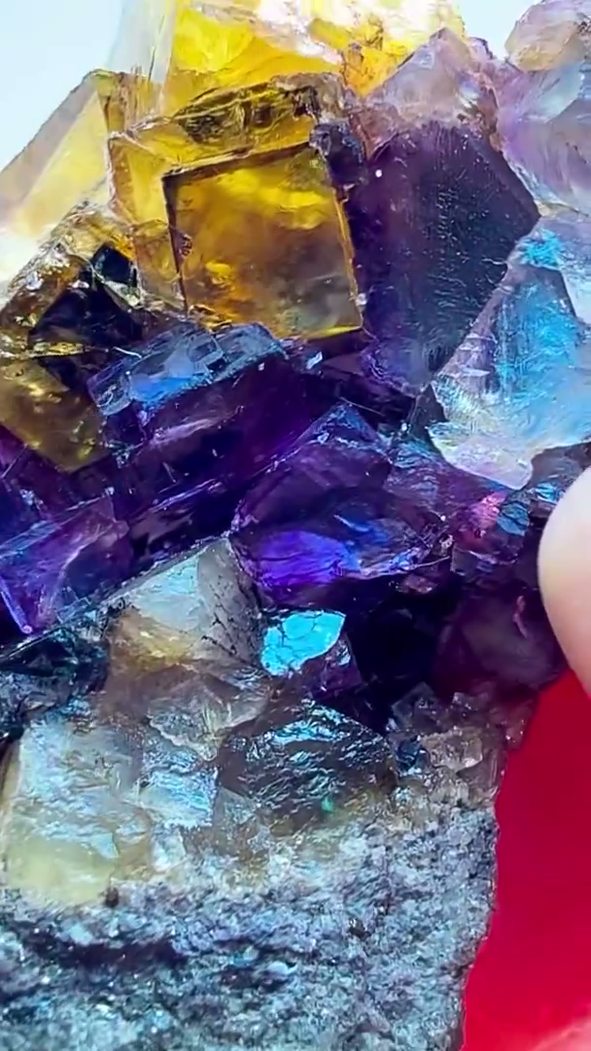 Fluorite Specimen from Hardin County, Illinois: Yellow & Purple Illinois Magic - view 3