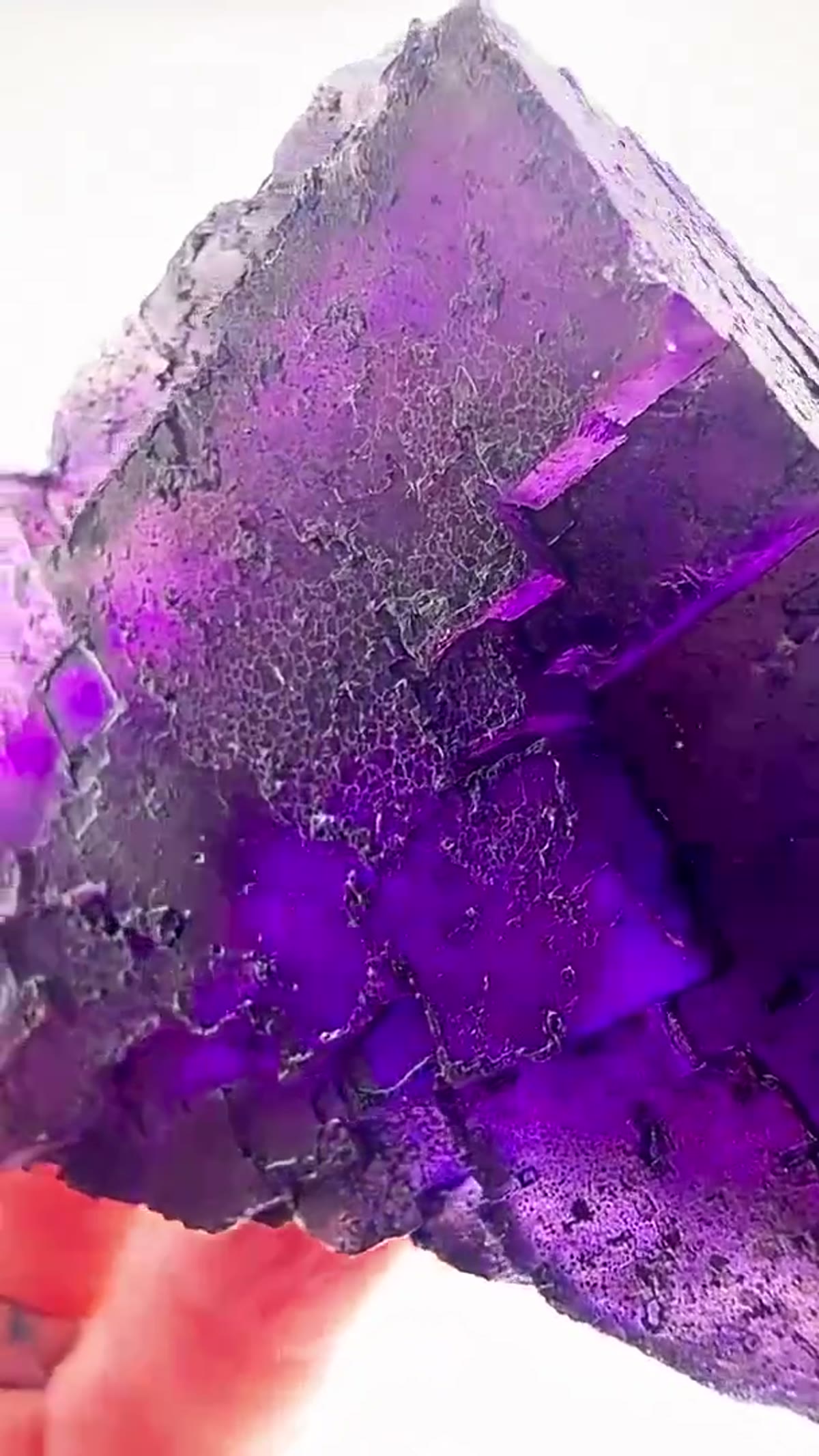 Fluorite Specimen from Denton Mine, Illinois: Denton Mine Purple with a Dark Side - view 2