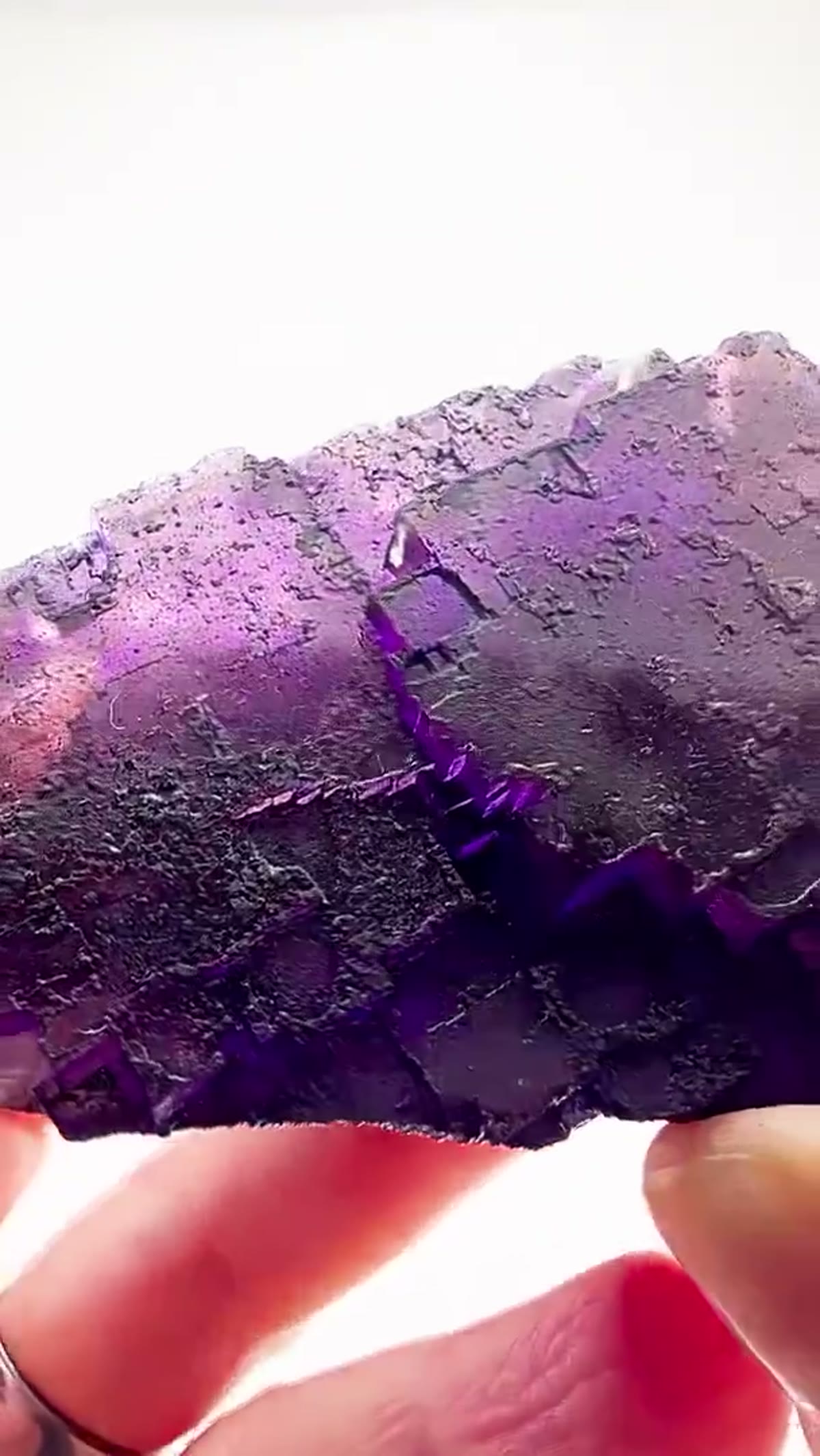 Fluorite Specimen from Denton Mine, Illinois: Denton Mine Purple with a Dark Side - view 3